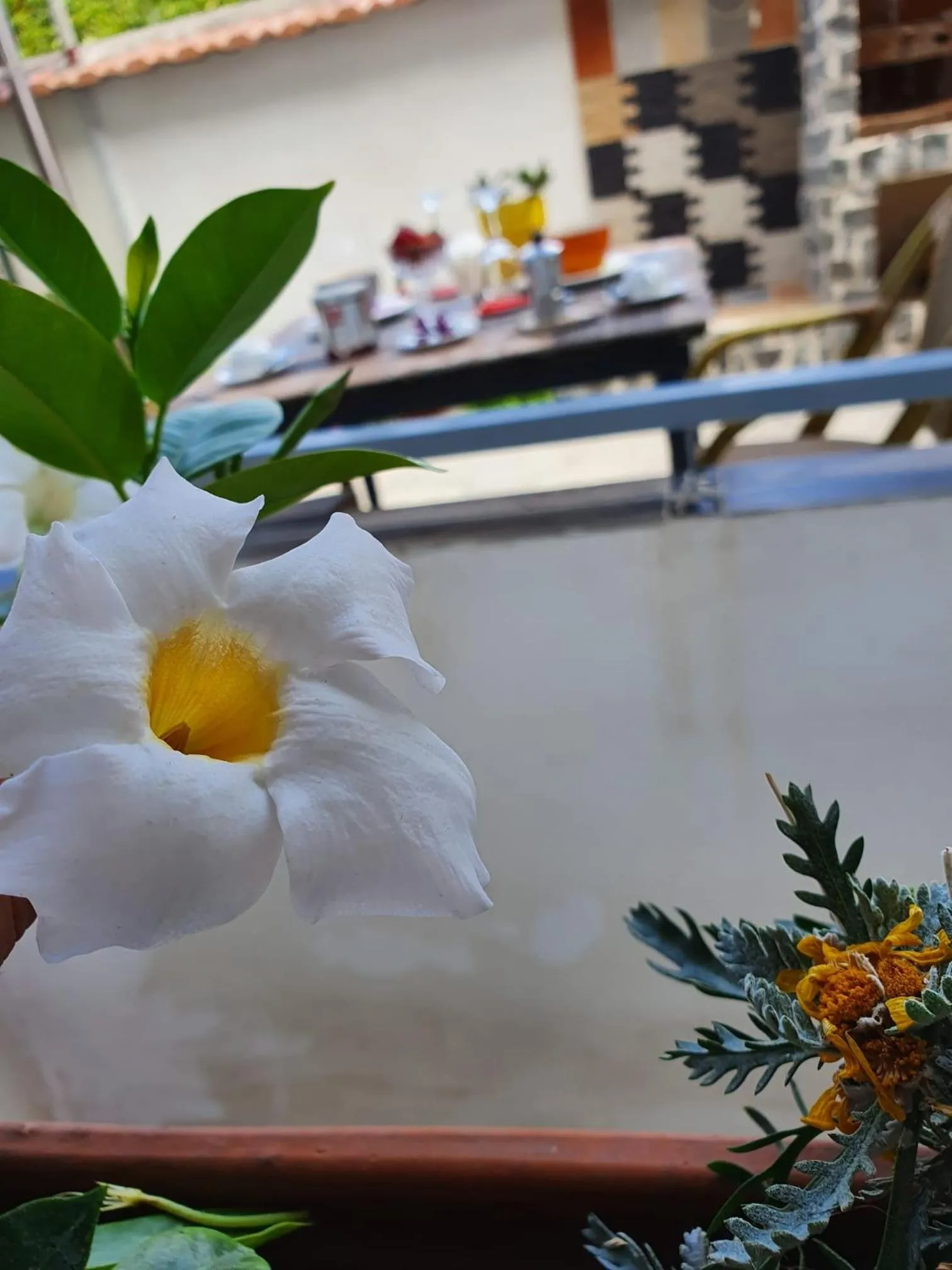 Garden view in B&B Cappotto civico 48