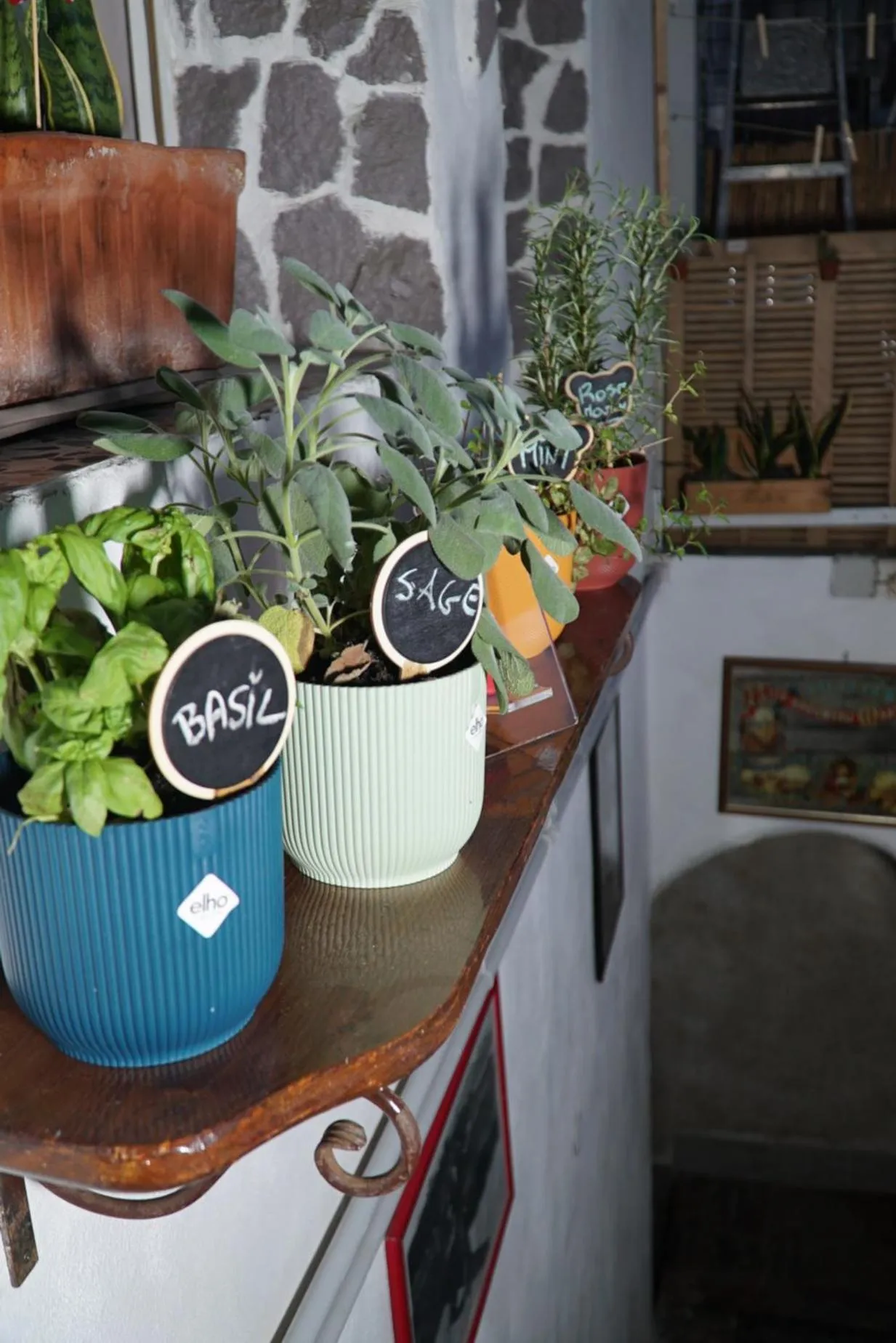 B&B Cappotto civico 48