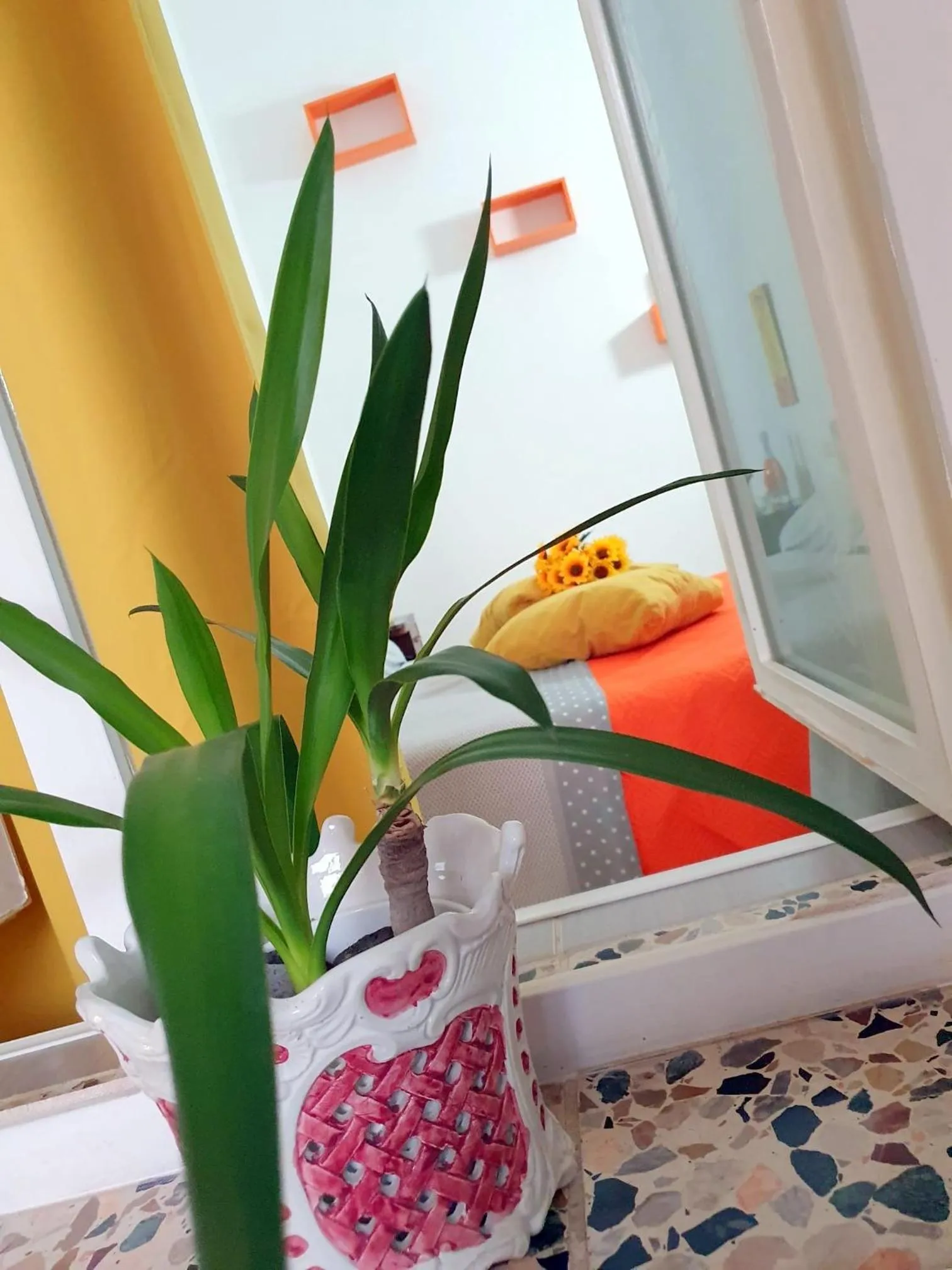 B&B Cappotto civico 48