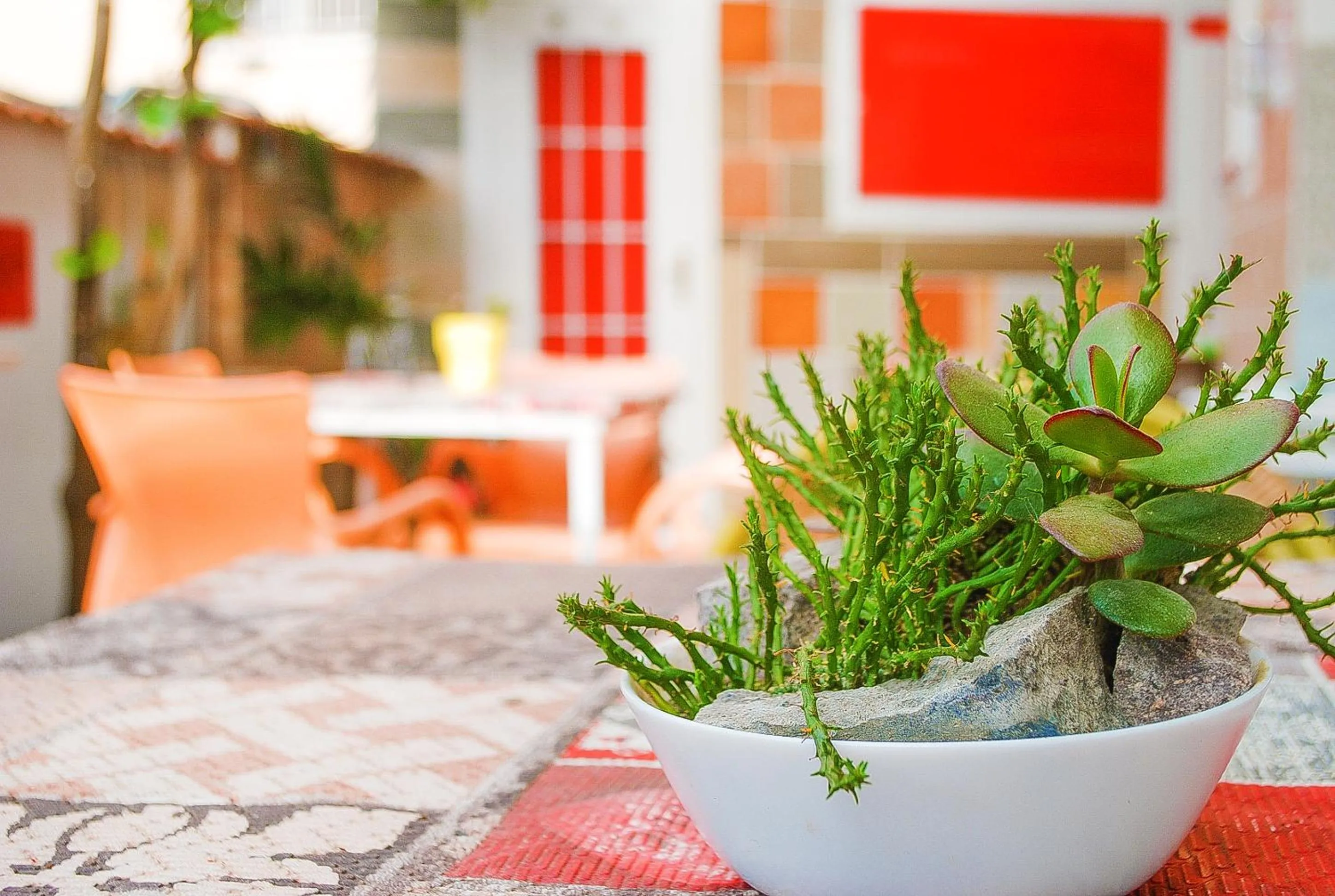 B&B Cappotto civico 48