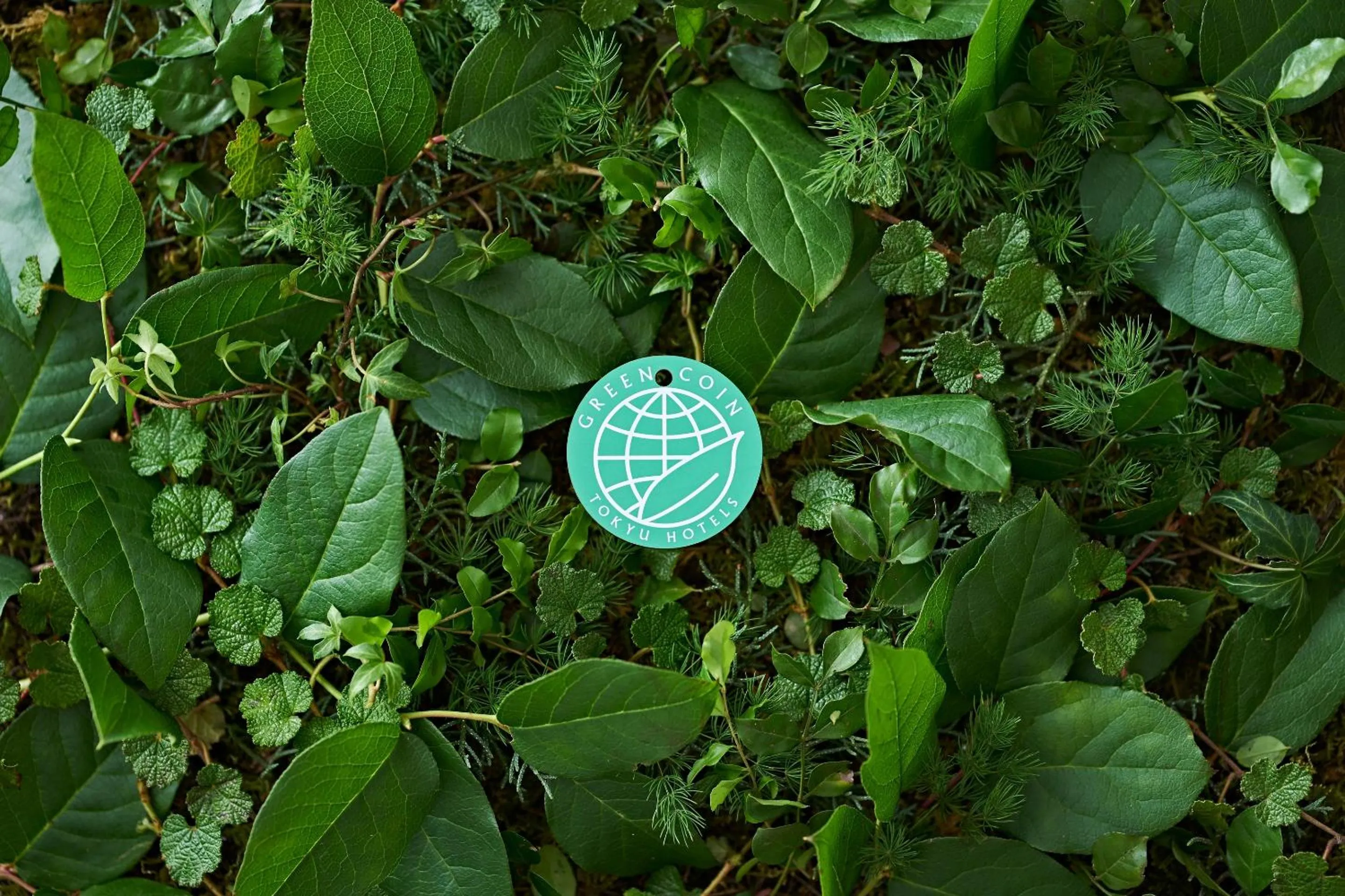 Other in Kumamoto Tokyu REI Hotel