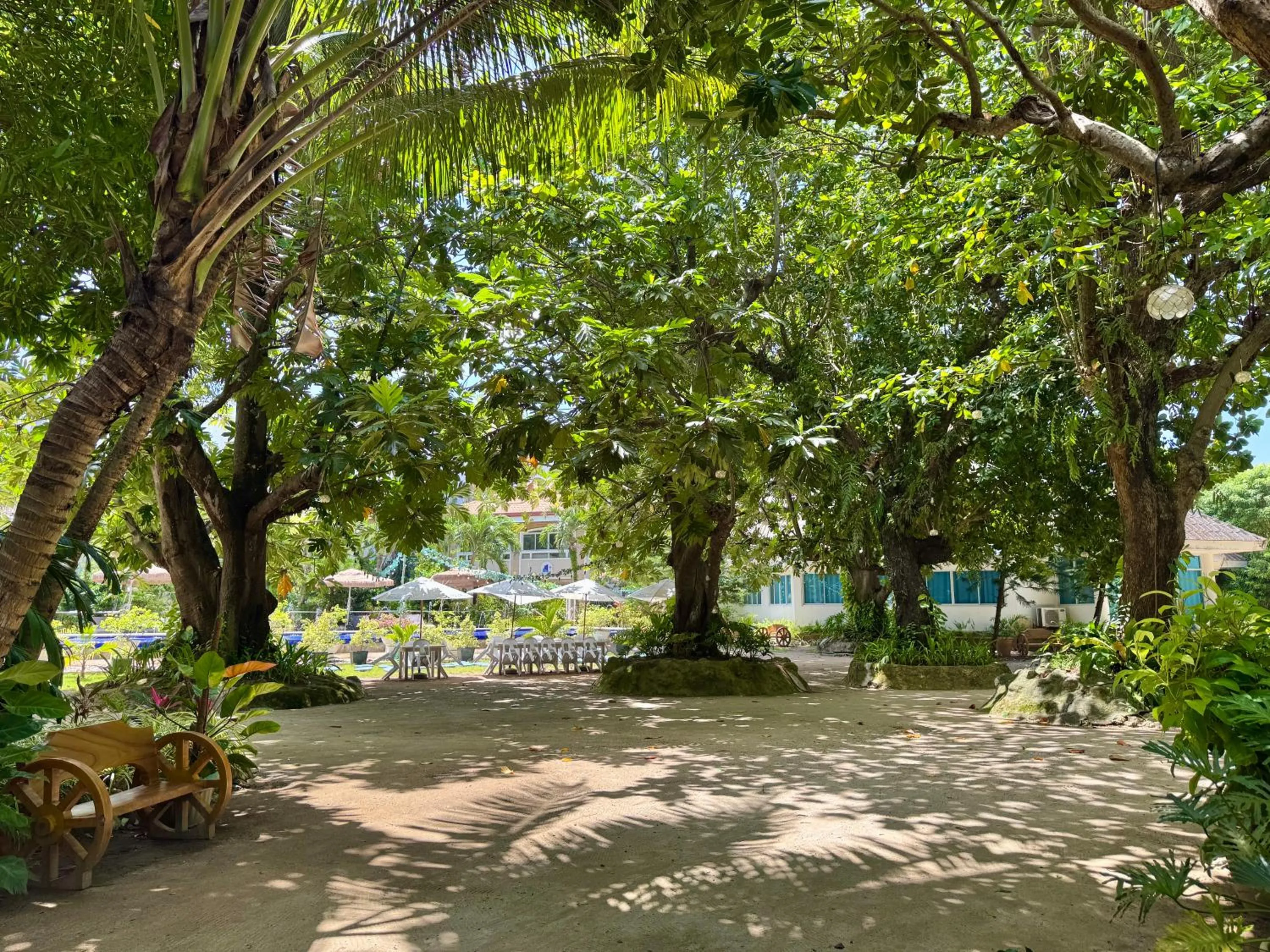 Garden in Casa Pilar Beach Resort
