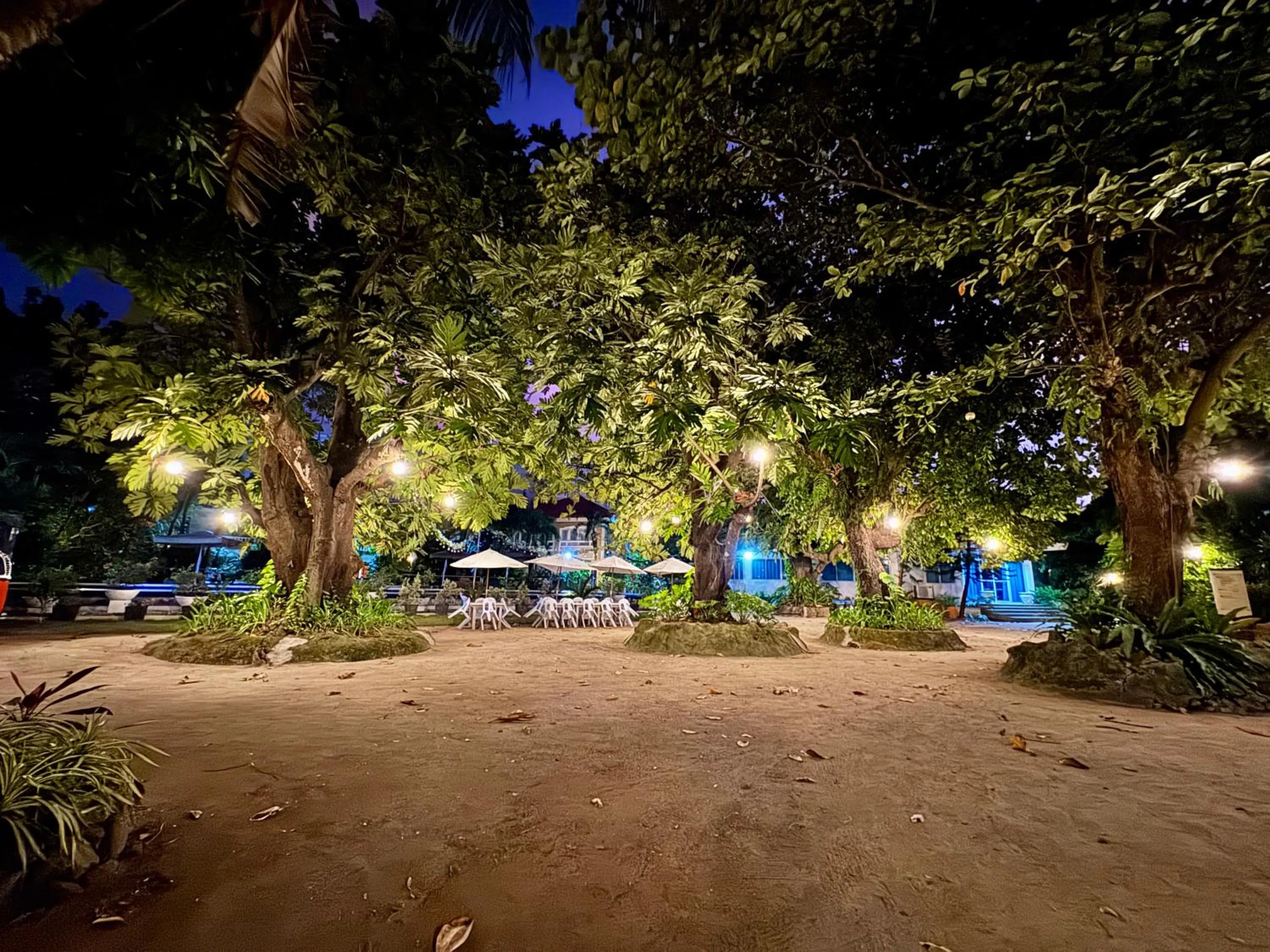 View (from property/room) in Casa Pilar Beach Resort