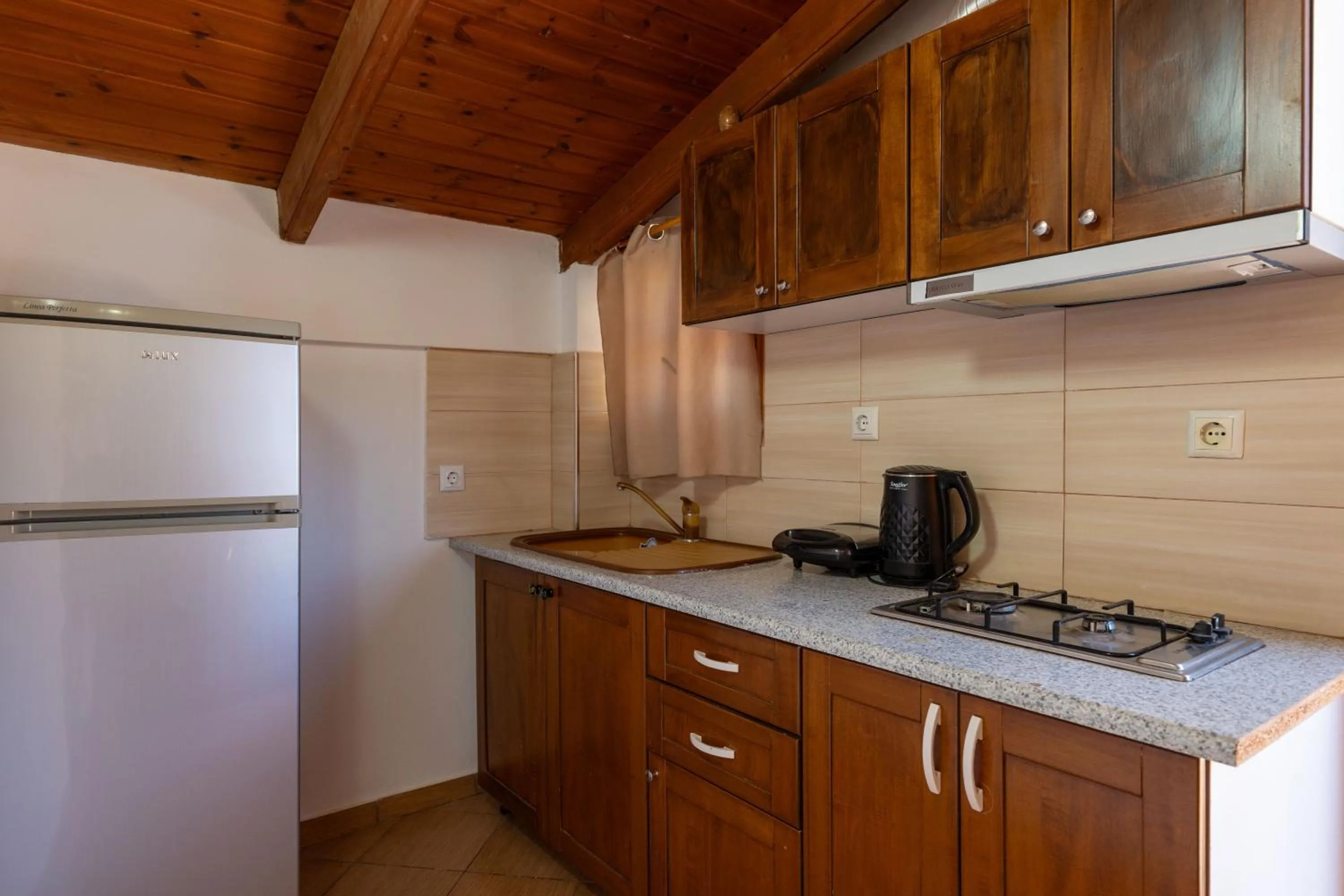 Kitchen or kitchenette in Apart Hotel Alex