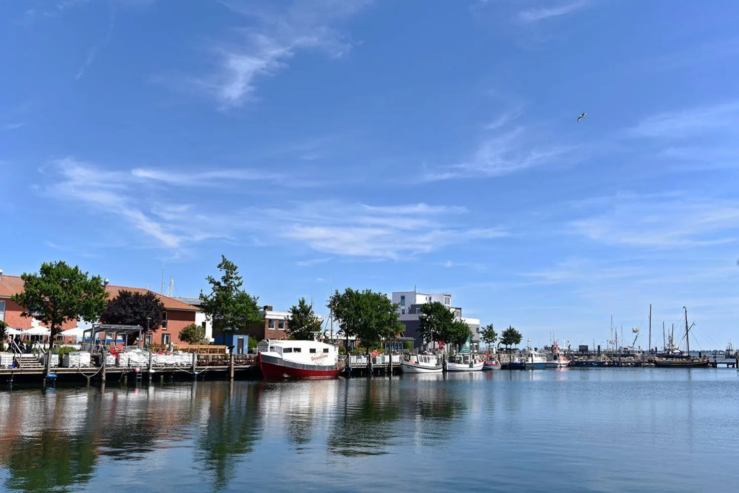 Area and facilities in Hotel Stadt Hamburg