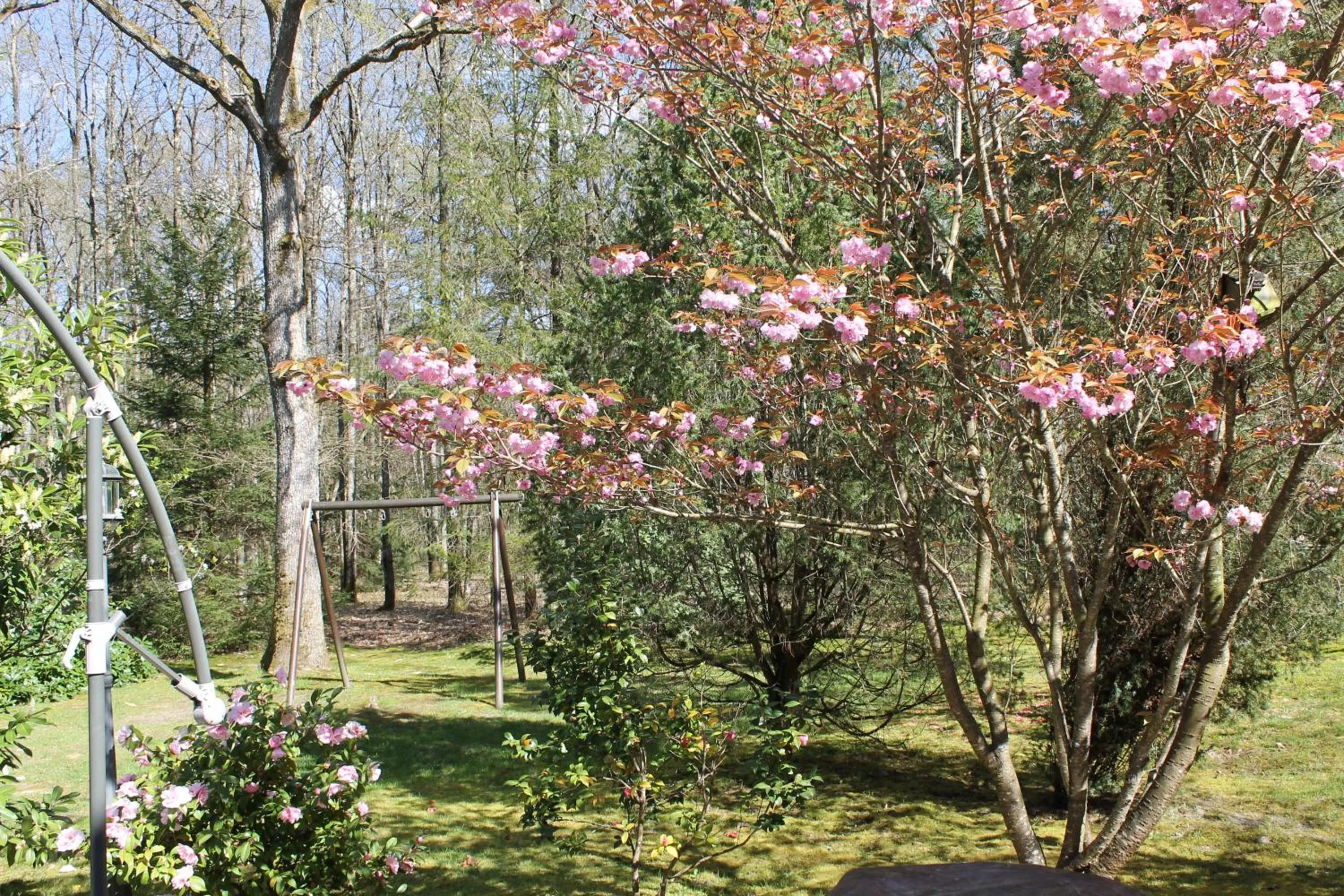 Garden in Chambres d'hôtes La Brillève