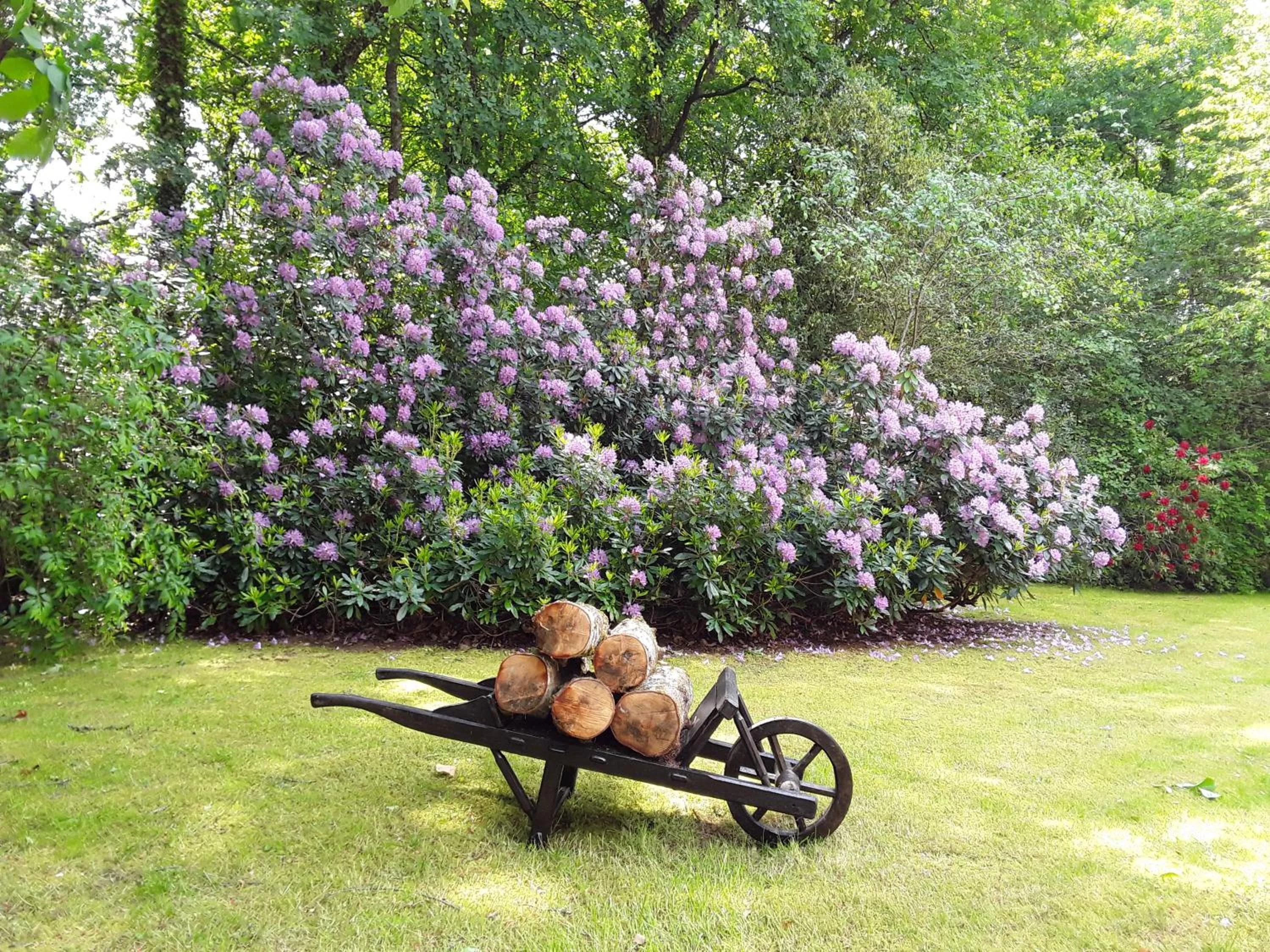 Garden in Chambres d'hôtes La Brillève