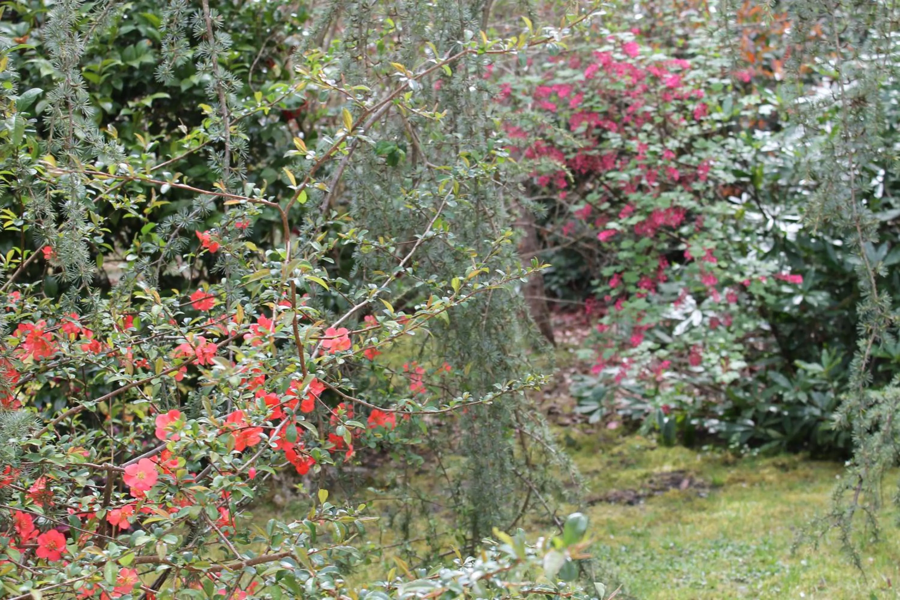 Garden in Chambres d'hôtes La Brillève