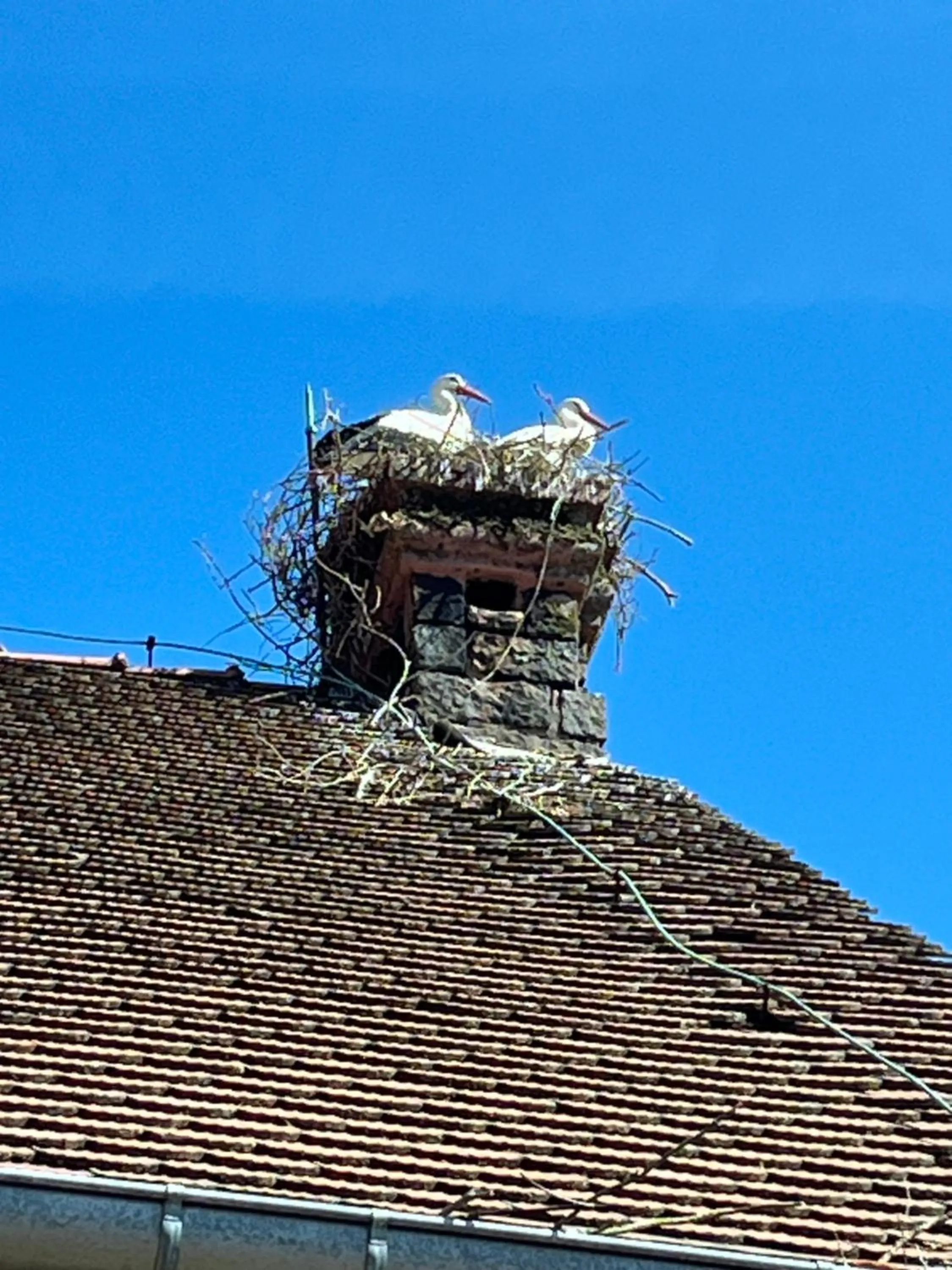 Landmark view in Gîte L'Instant Durable