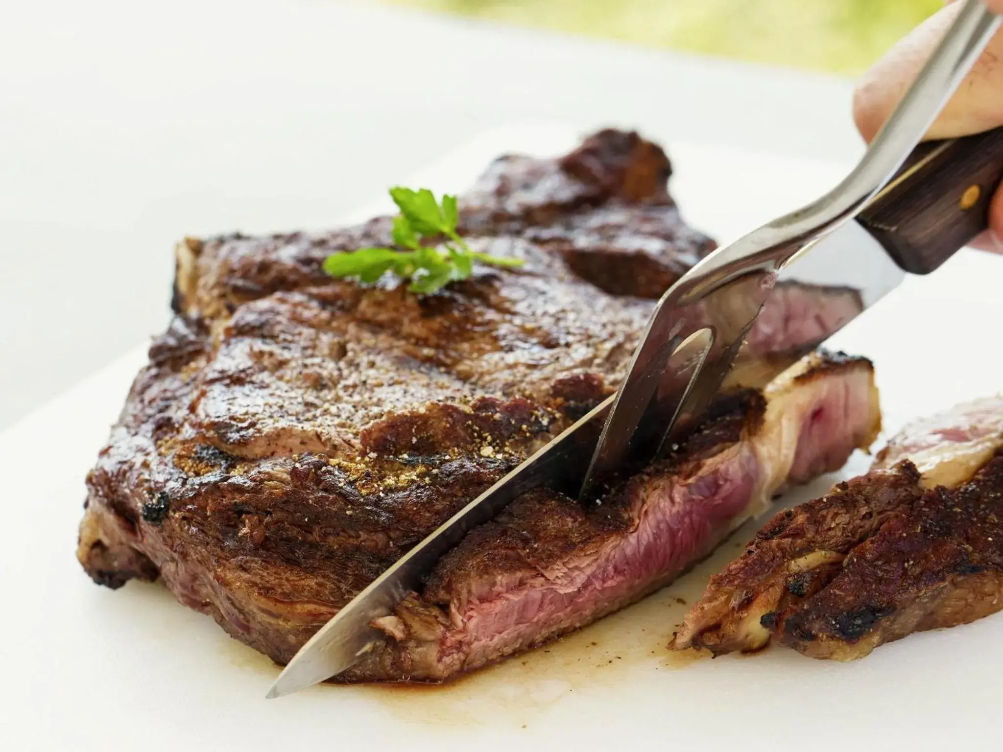 Restaurant/places to eat in ibis Bordeaux Pessac Route des Vins Restaurant/places to eat in ibis Bordeaux Pessac Route des Vins