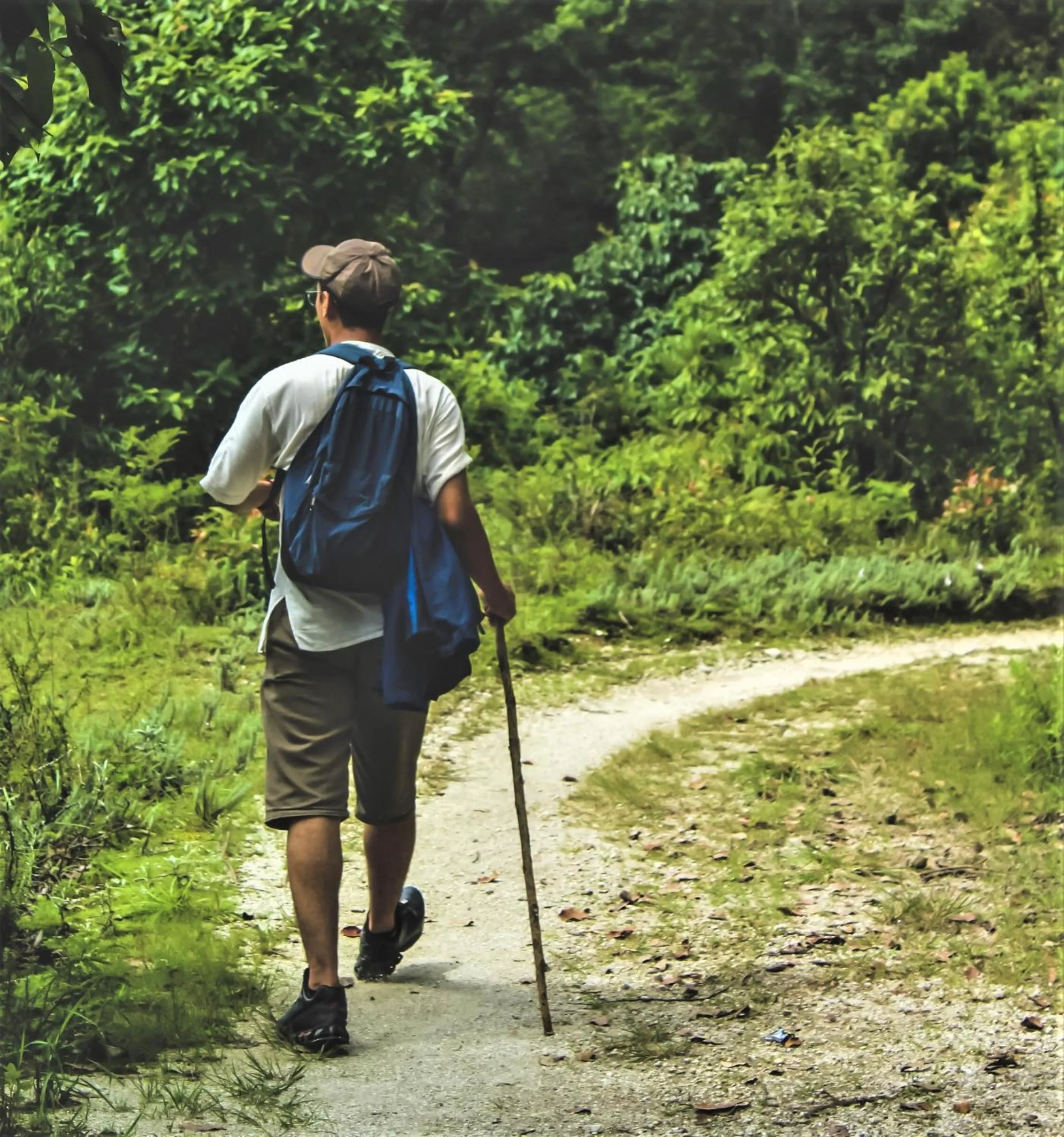 Hiking in Broome Farm