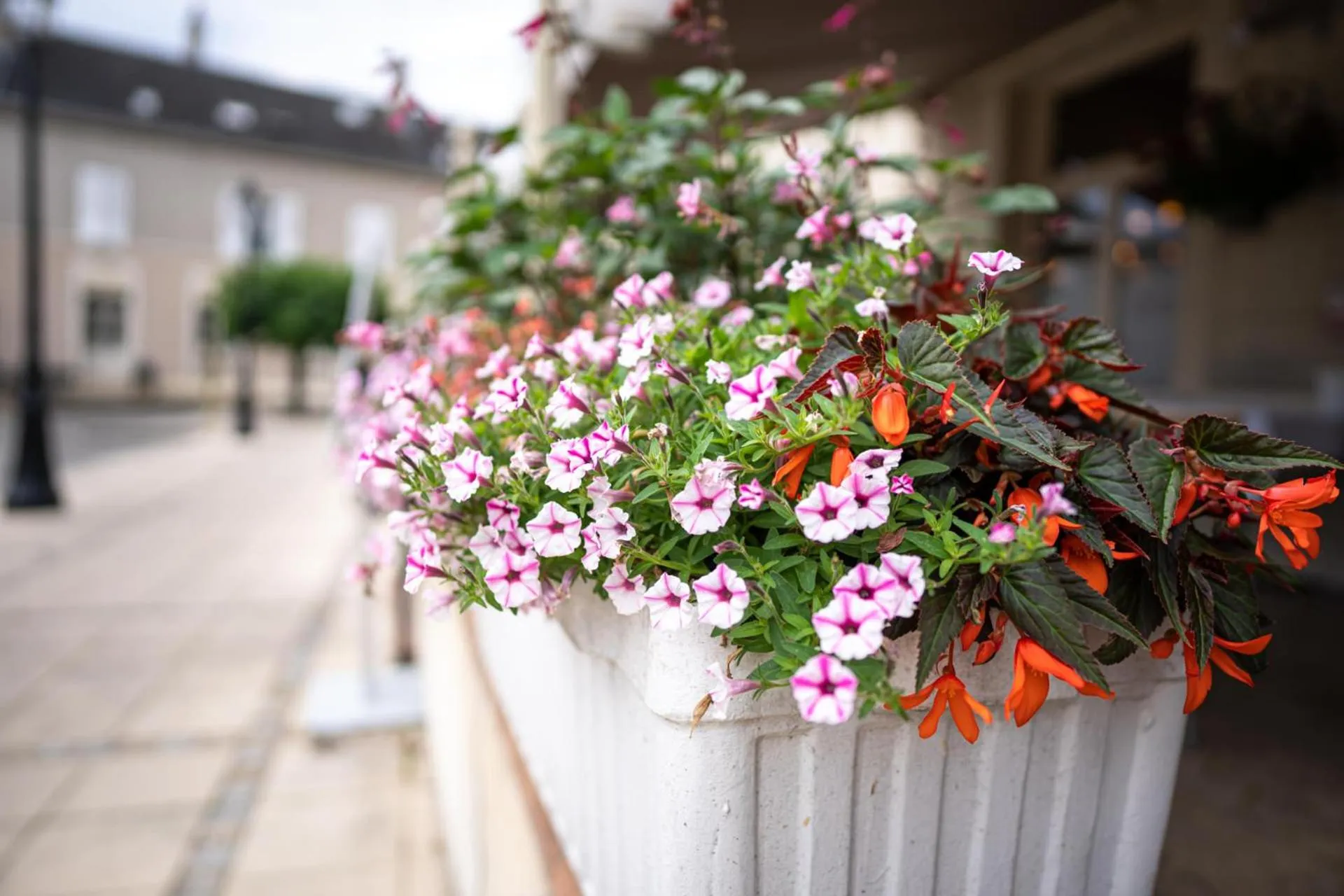 Patio in ibis Montargis