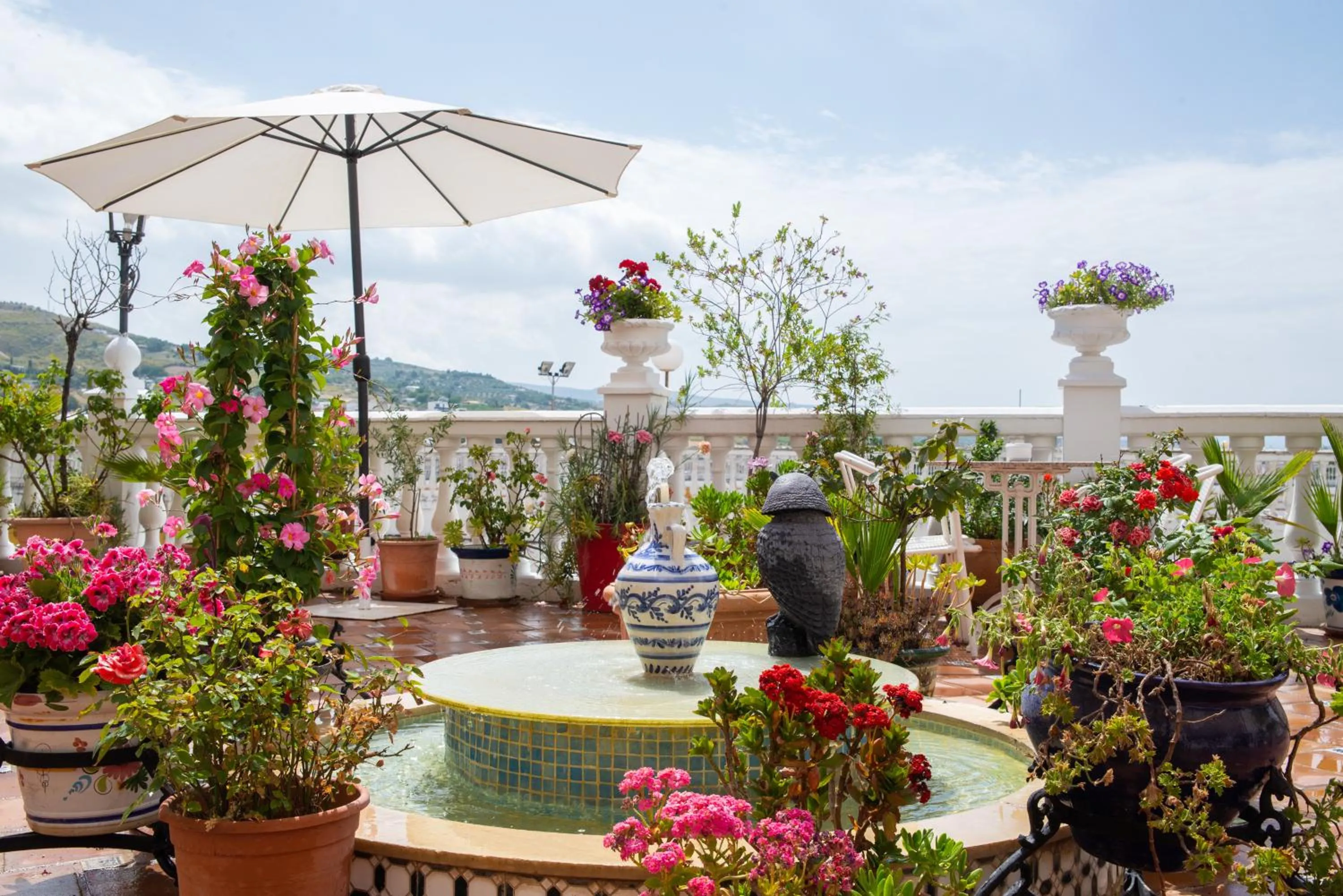 Balcony/Terrace in Hotel Hidalgo