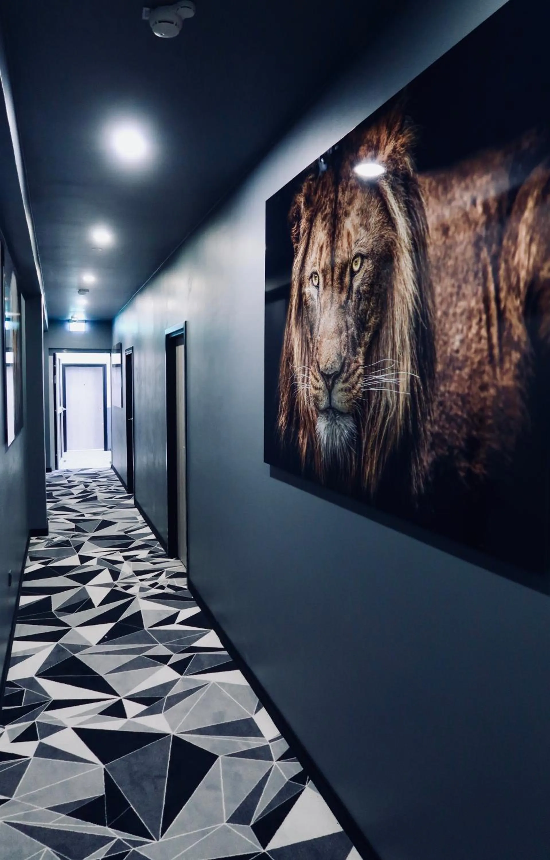 Area and facilities in Libarty Hotels