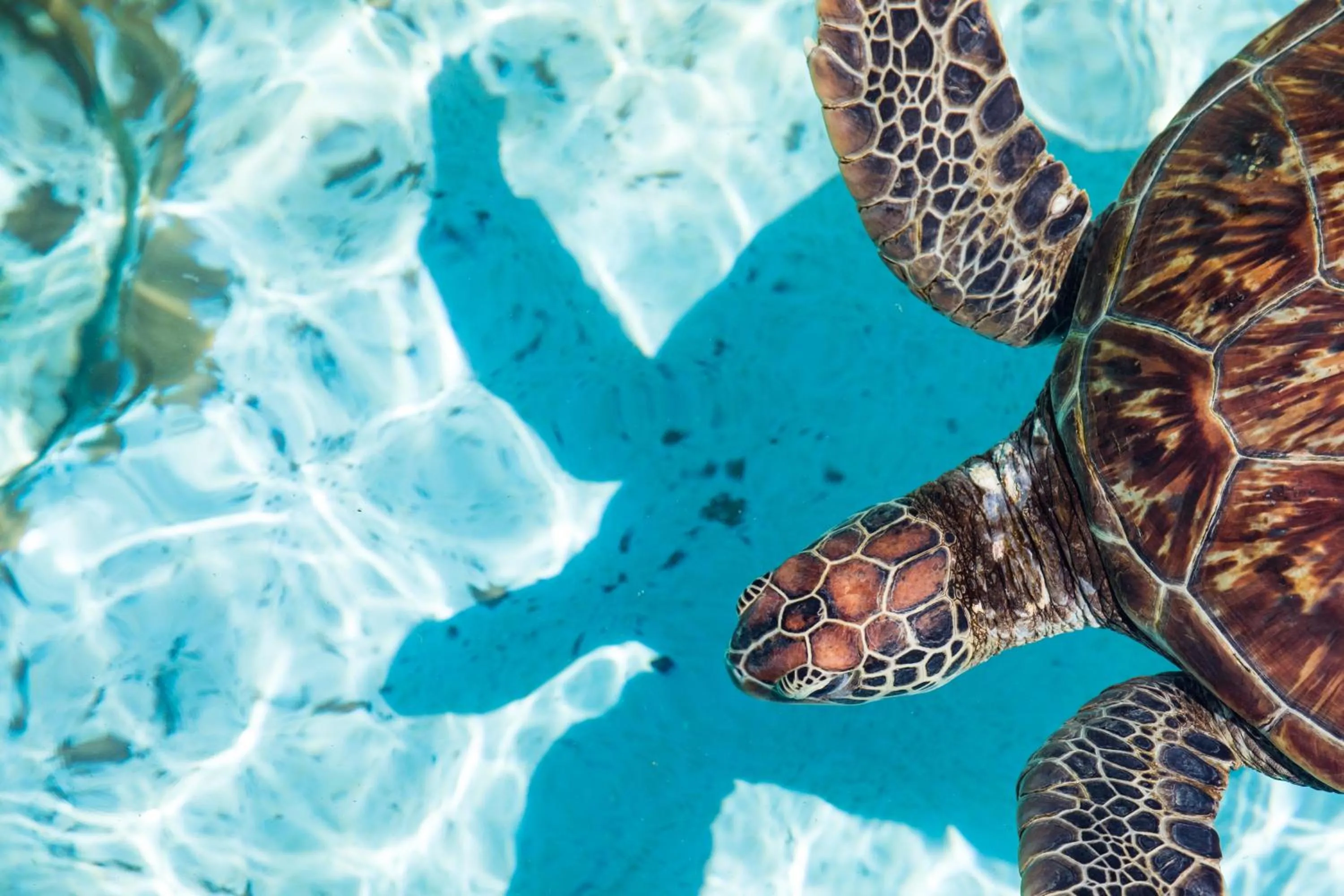 Nearby landmark in Ichi The Hostel