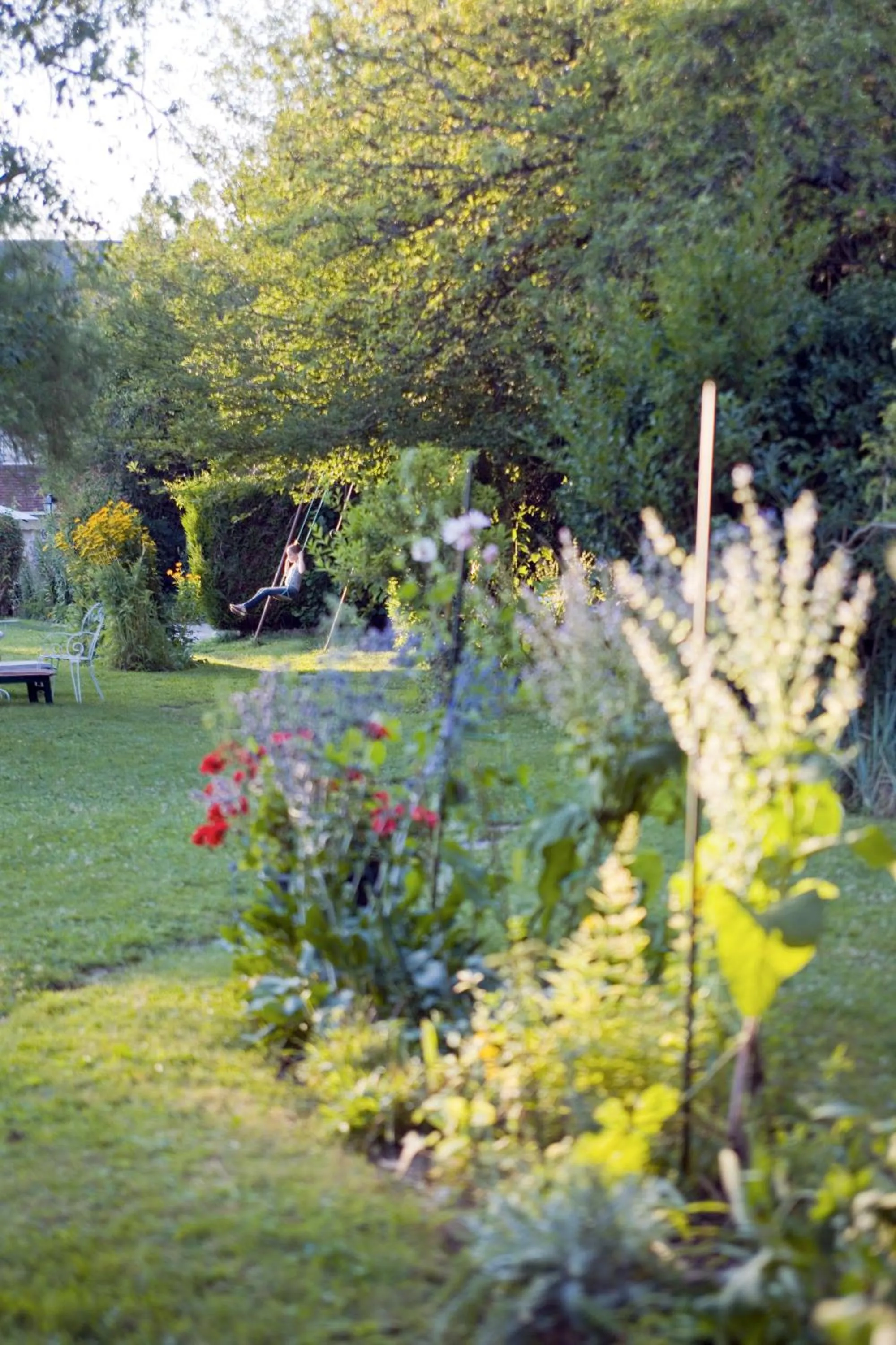 Garden in Logis Auberge Du Centre