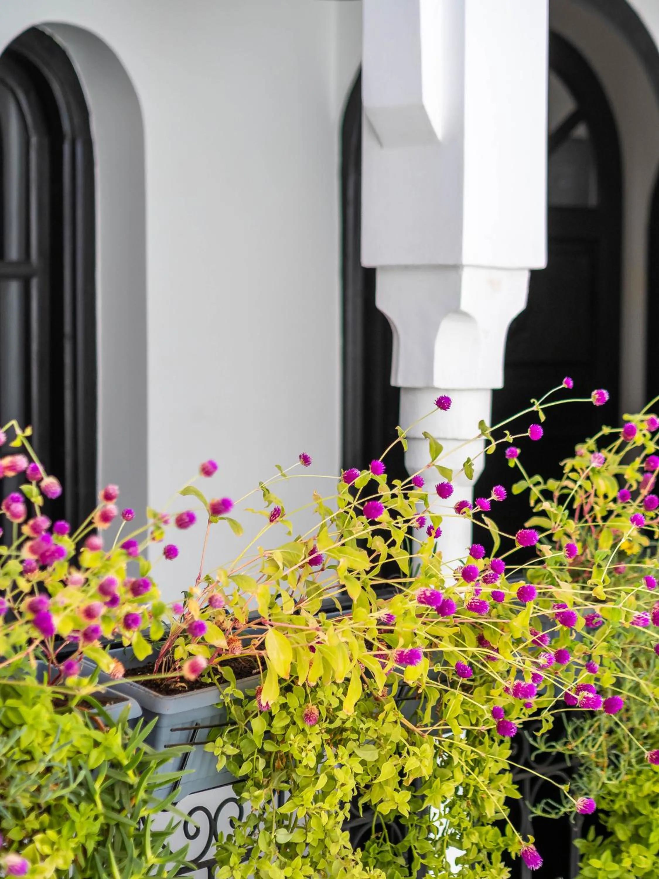 Property building in Riad Come & Va Medina