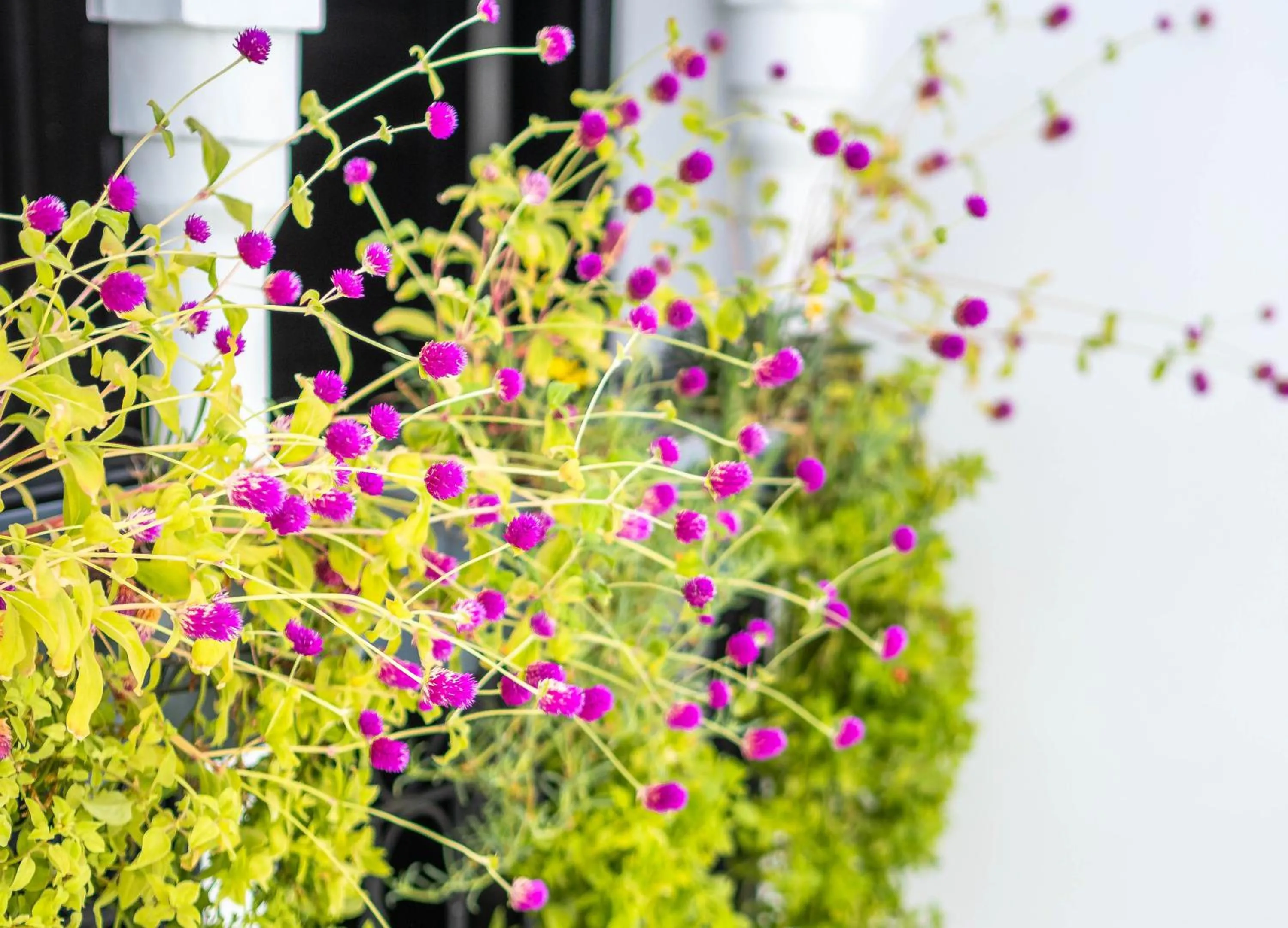 Property building in Riad Come & Va Medina