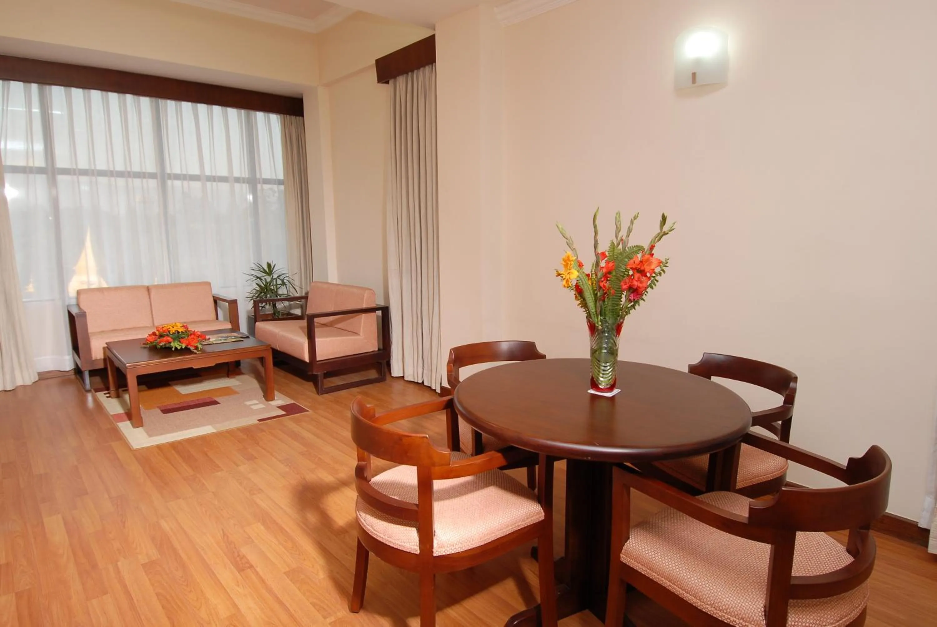 View (from property/room) in Airport Hotel Kathmandu - Near Pashupatinath Temple