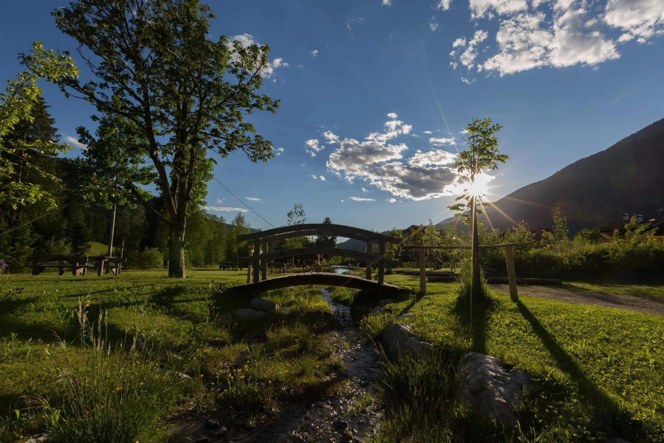 Natural landscape in Hotel Waldheim