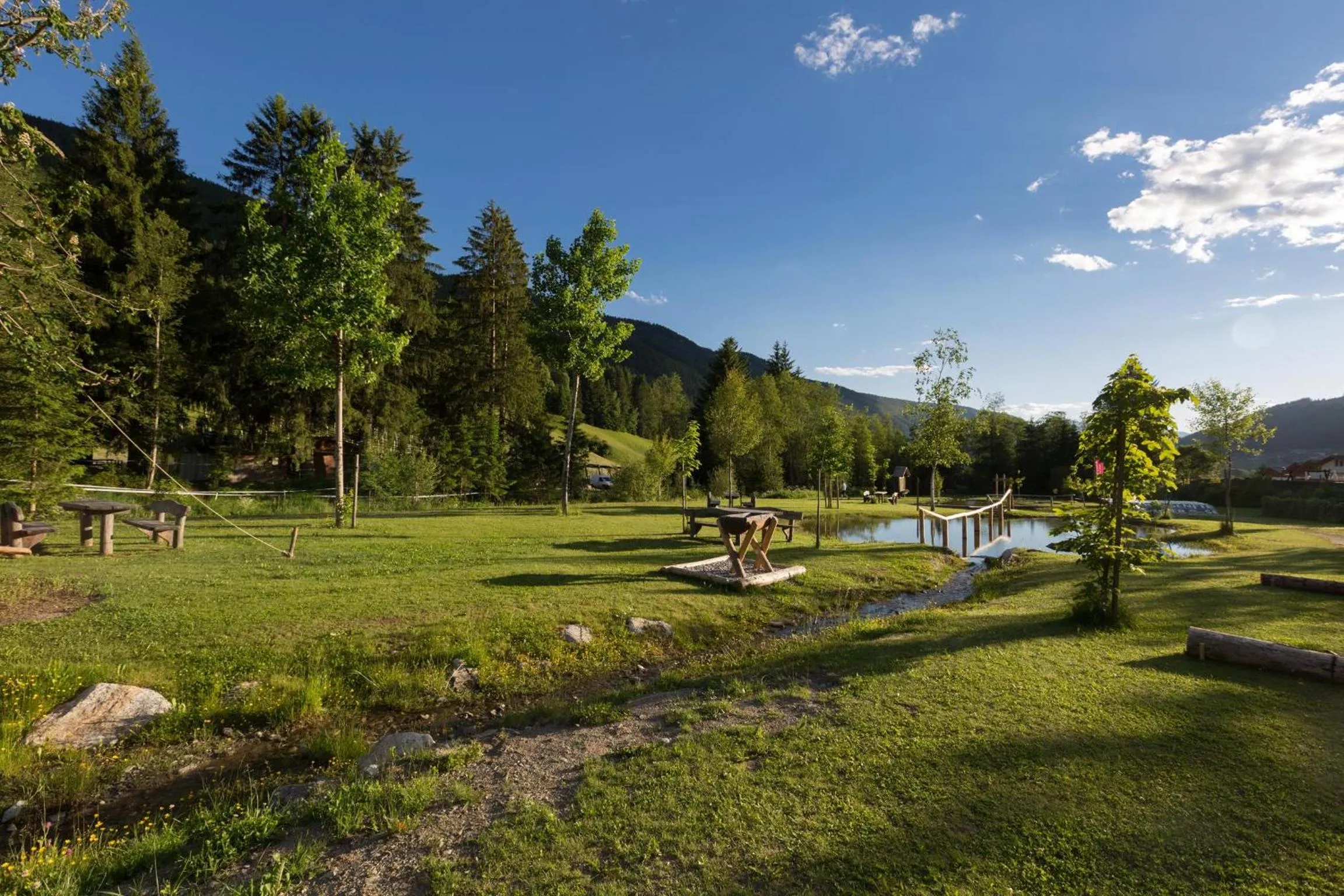 Area and facilities in Hotel Waldheim