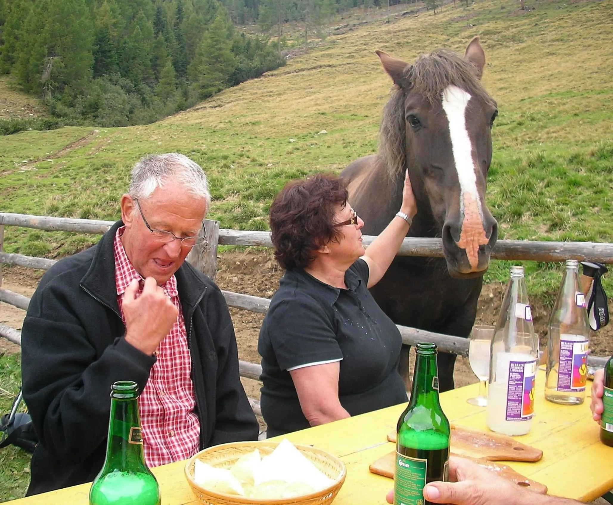 Day in Hotel Waldheim