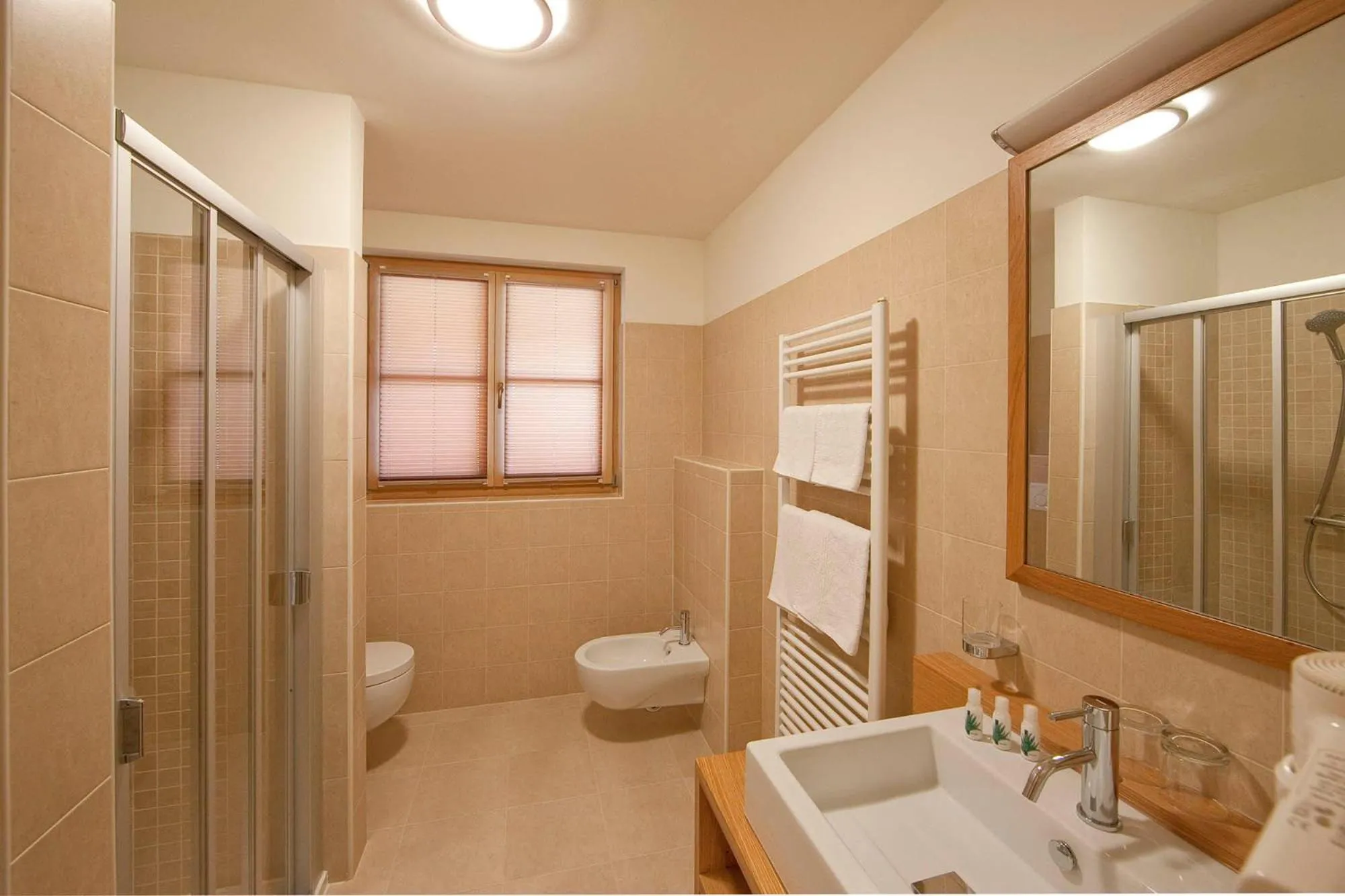 Bathroom in Hotel Waldheim