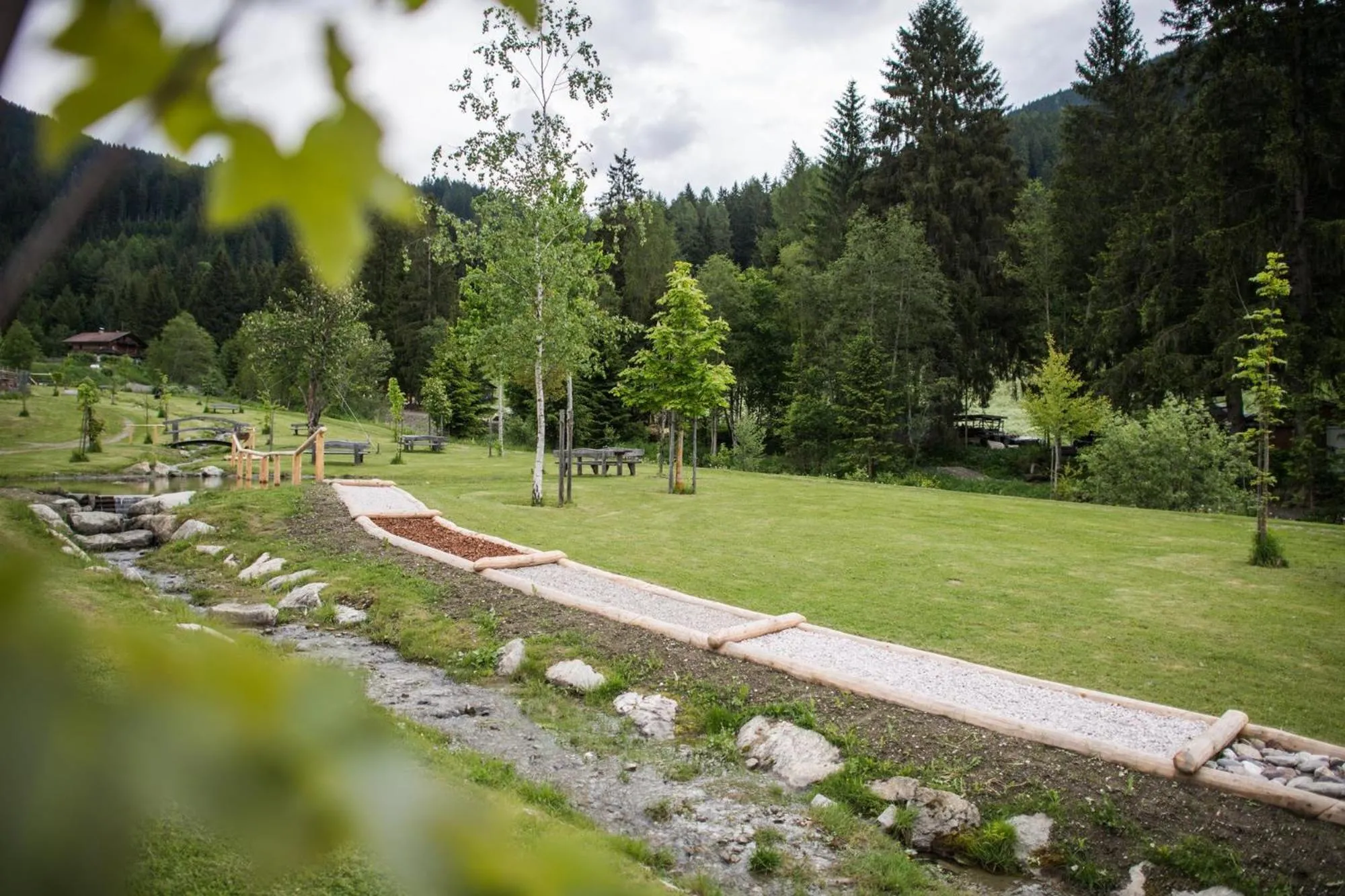 Area and facilities in Hotel Waldheim
