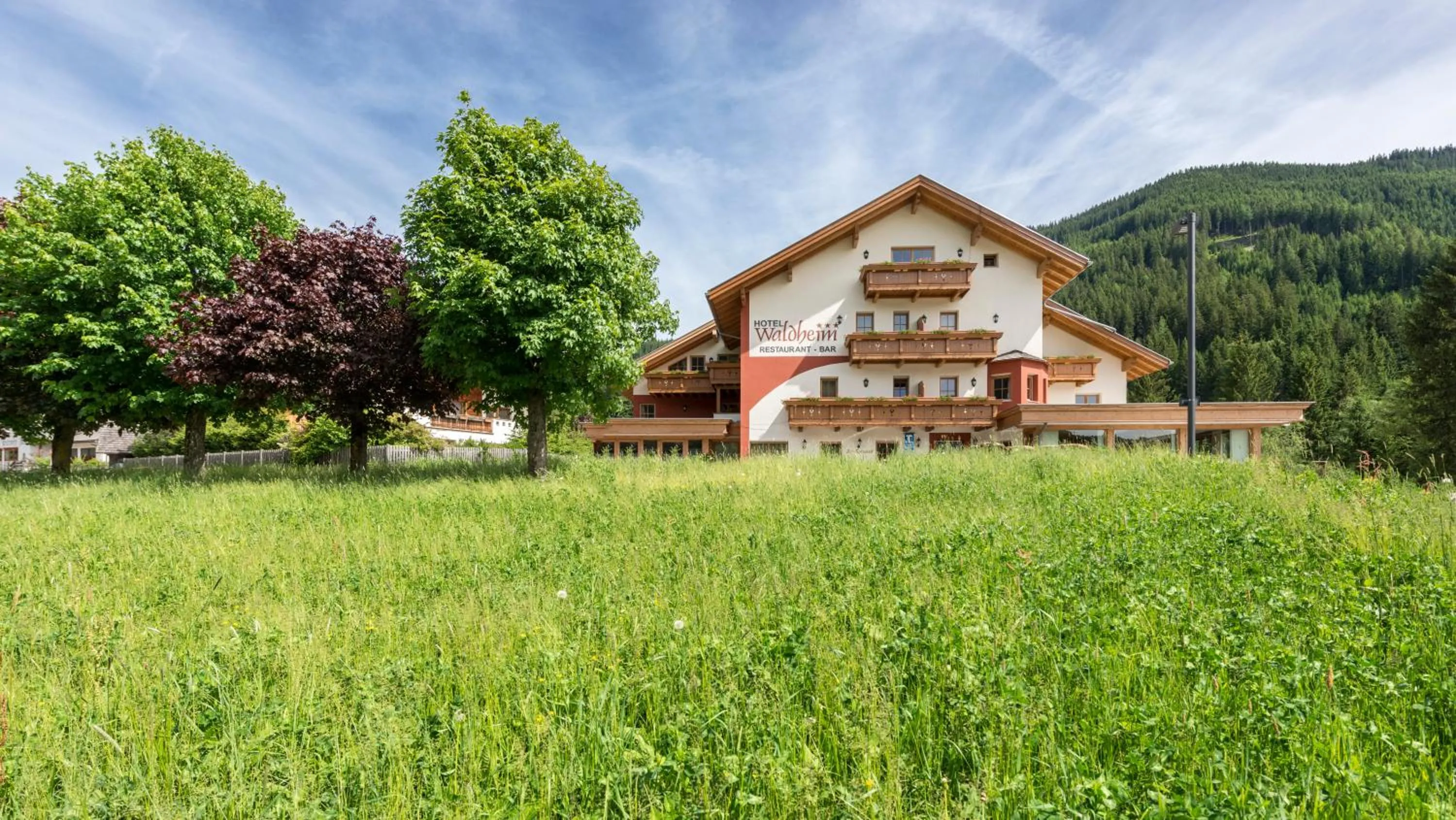 Summer in Hotel Waldheim