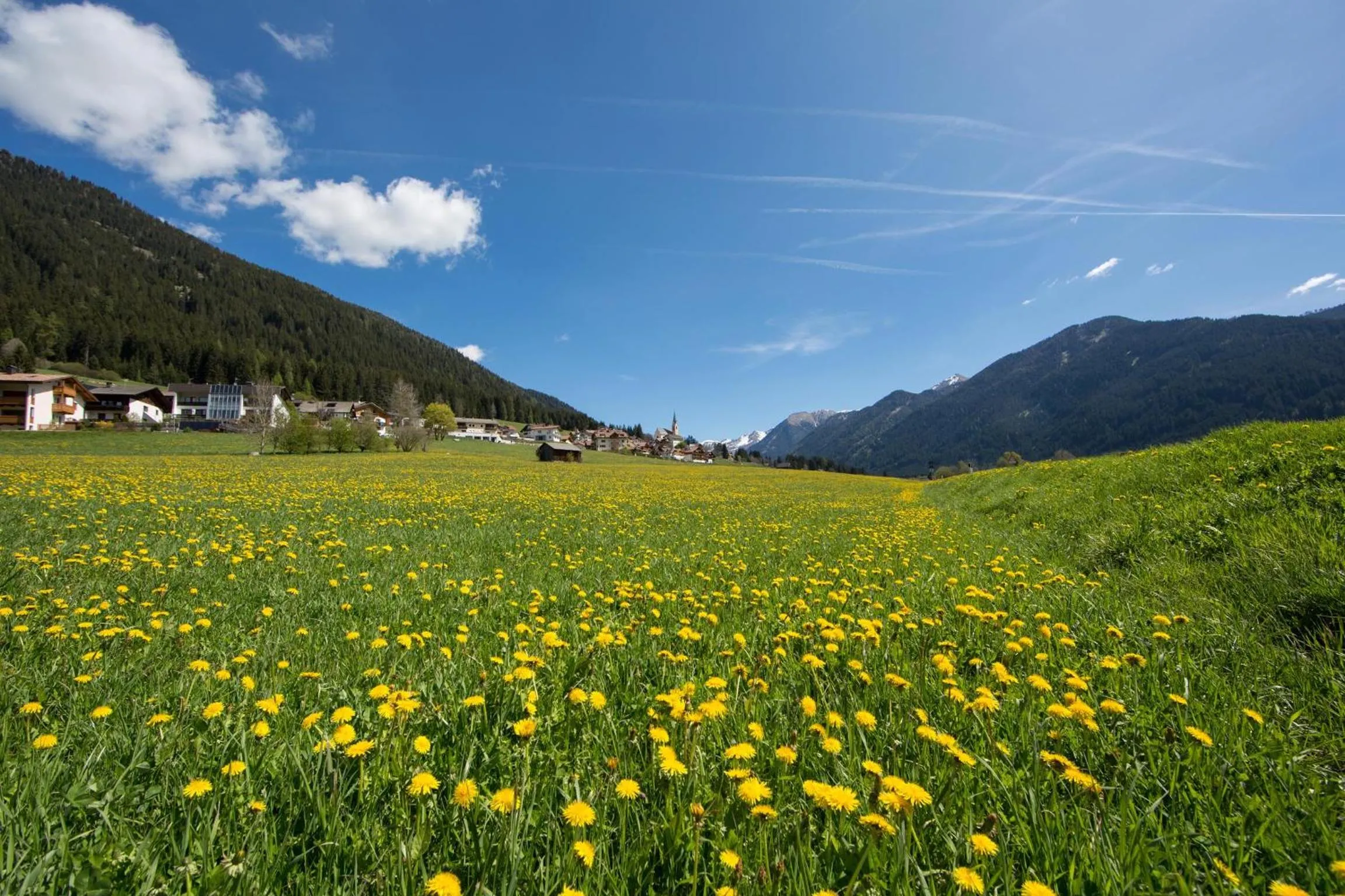 Natural landscape in Hotel Waldheim