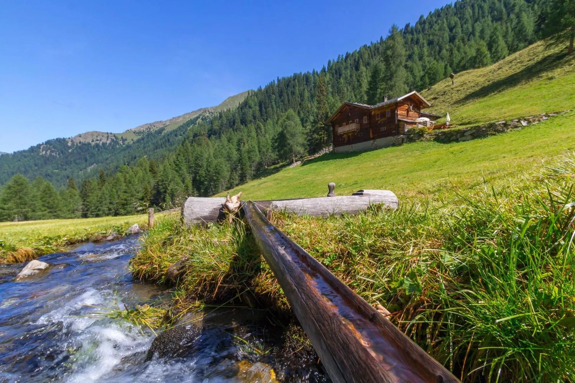 Natural landscape in Hotel Waldheim