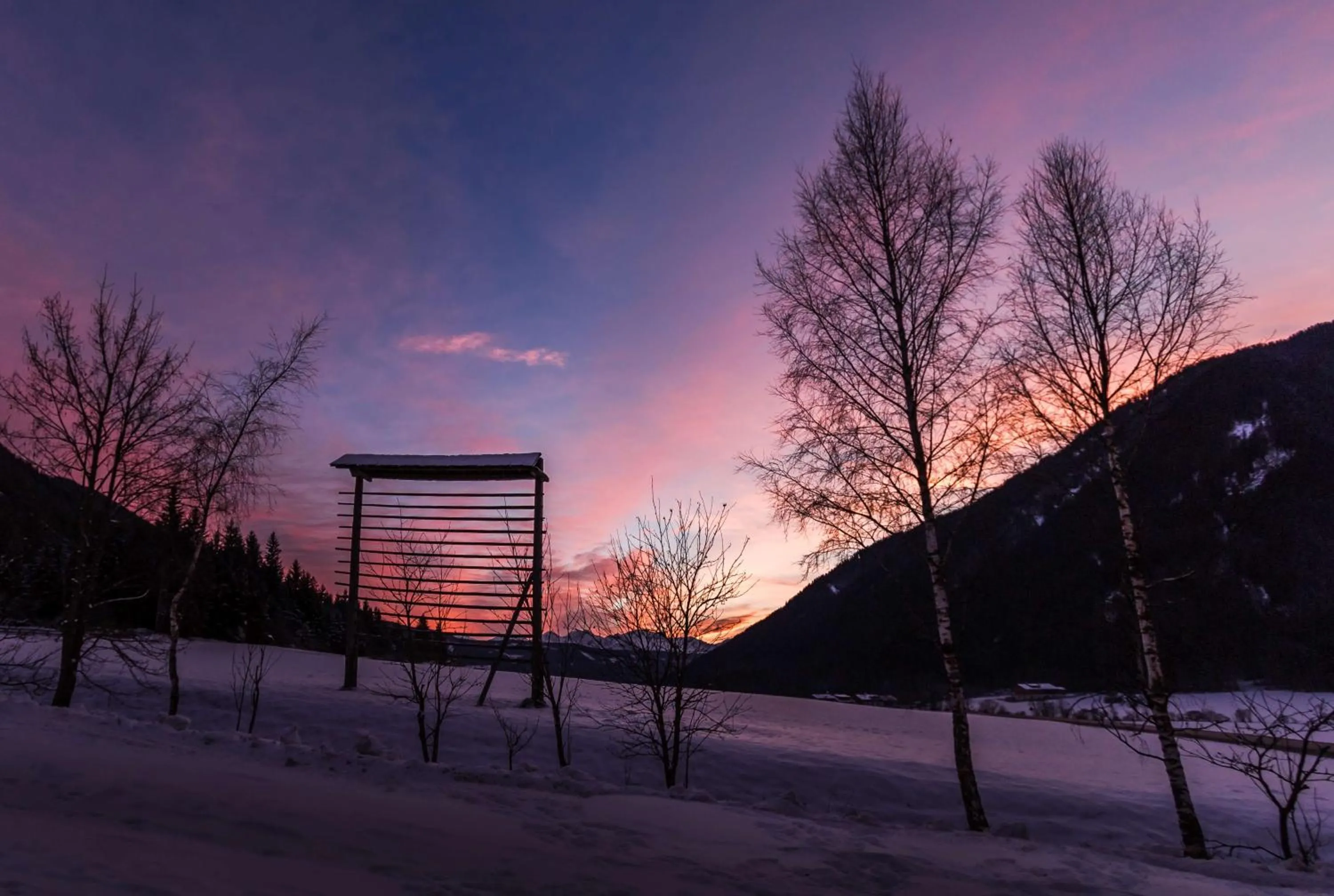Winter in Hotel Waldheim