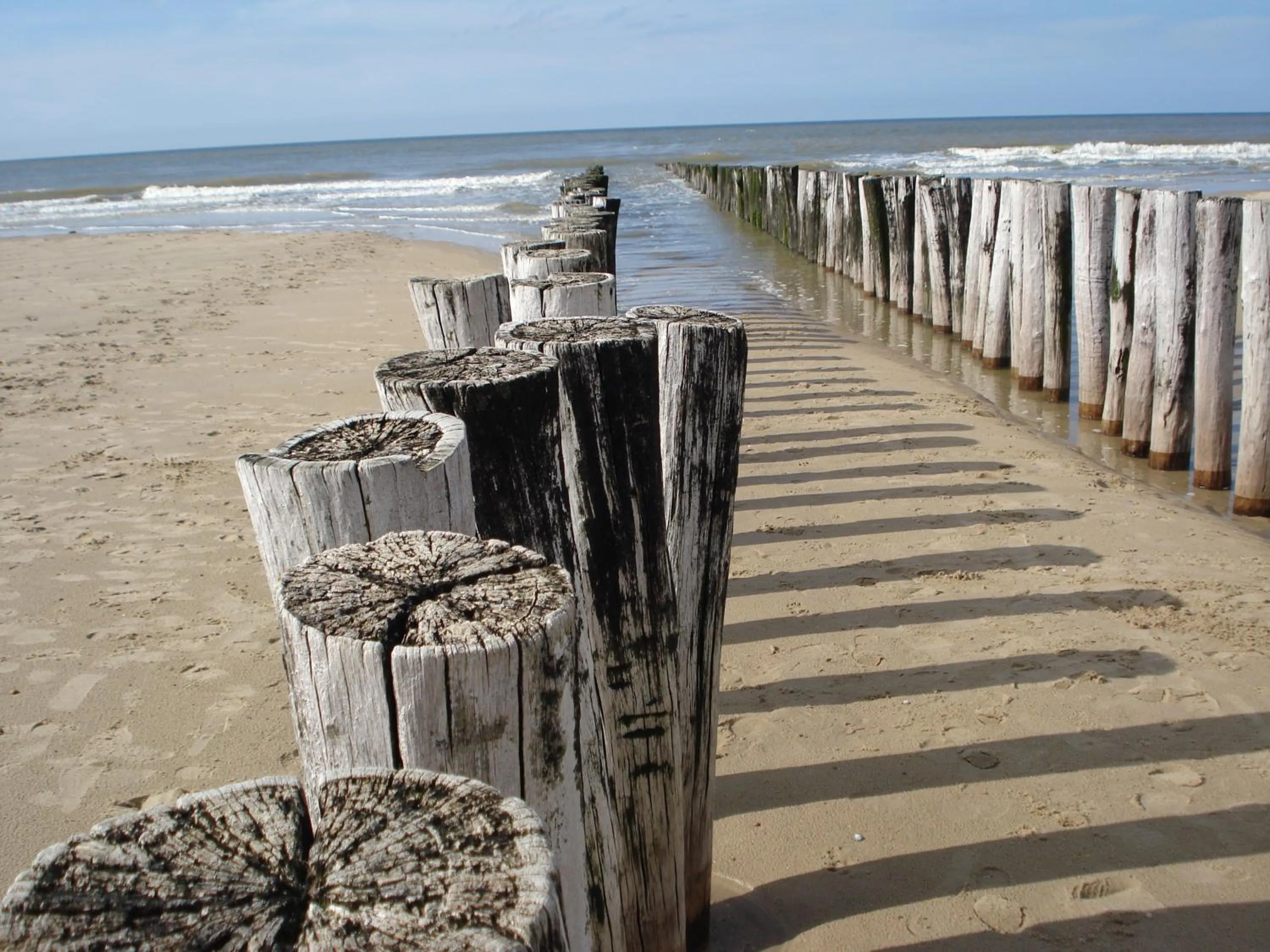 Beach in de Duinroos