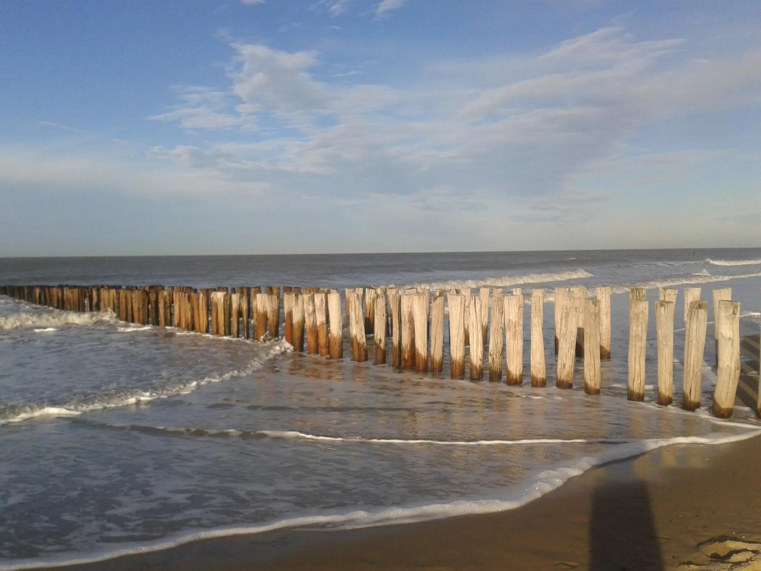 Beach in de Duinroos