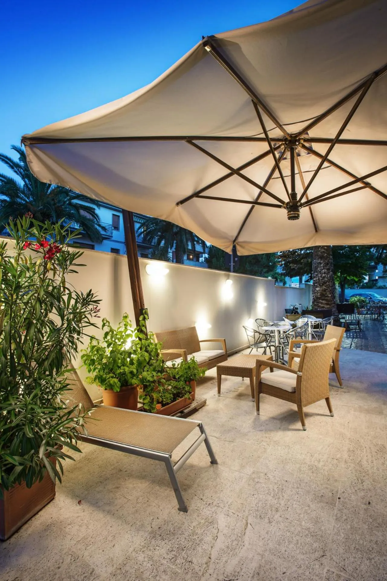 Garden in Hotel Fenix