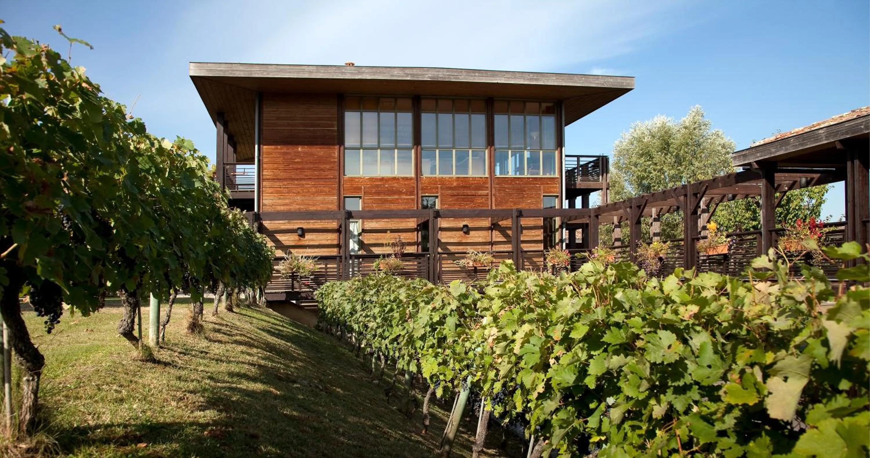 Garden view in Résidence Les Vignes