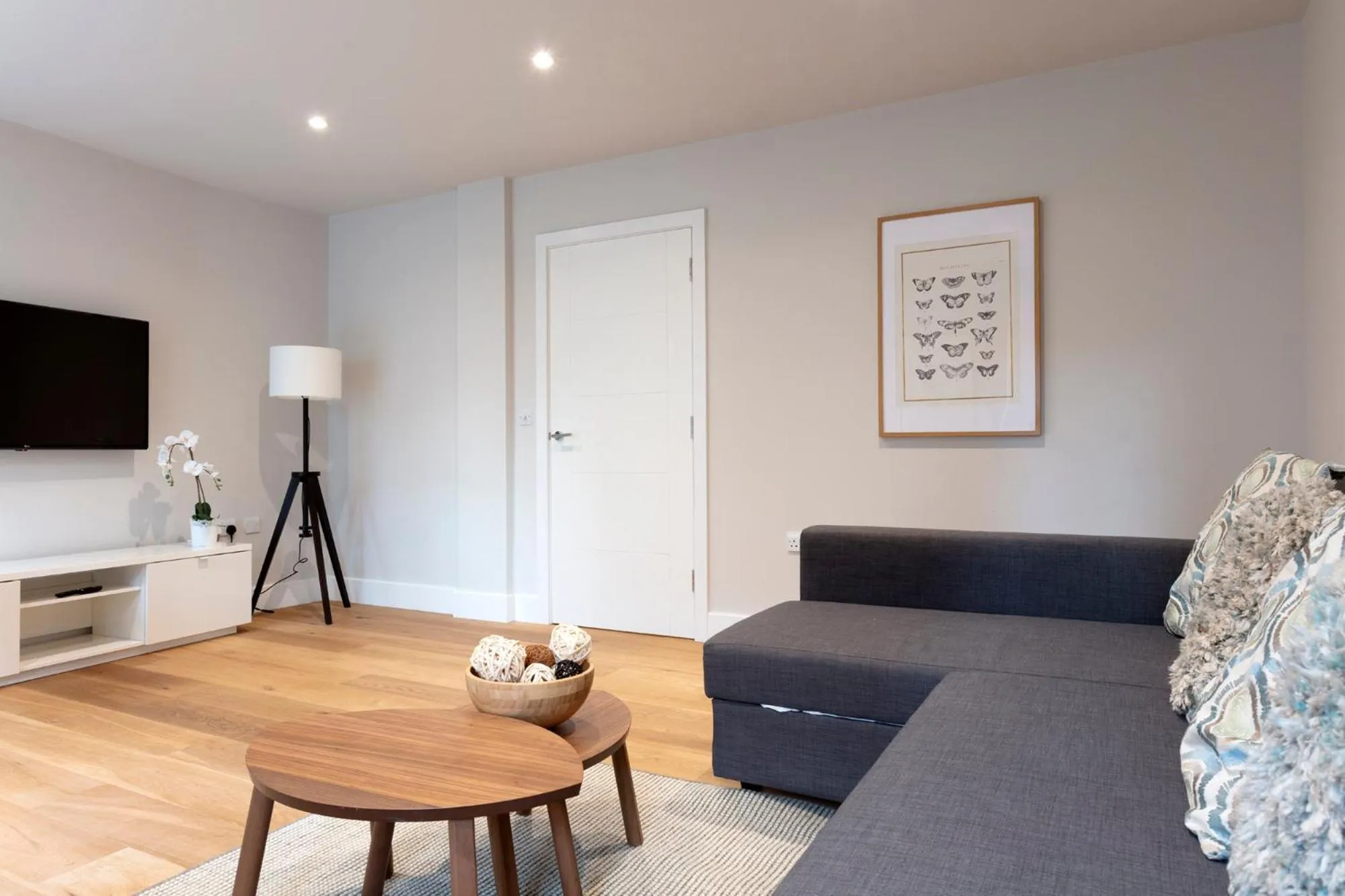 Hampden Apartments - The Diana