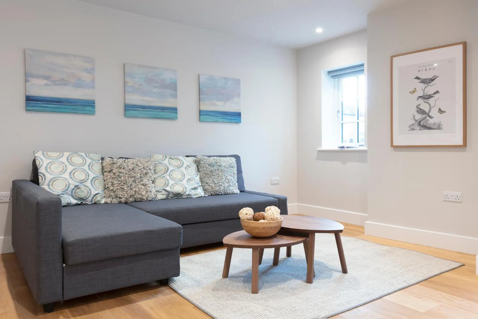 Hampden Apartments - The Diana