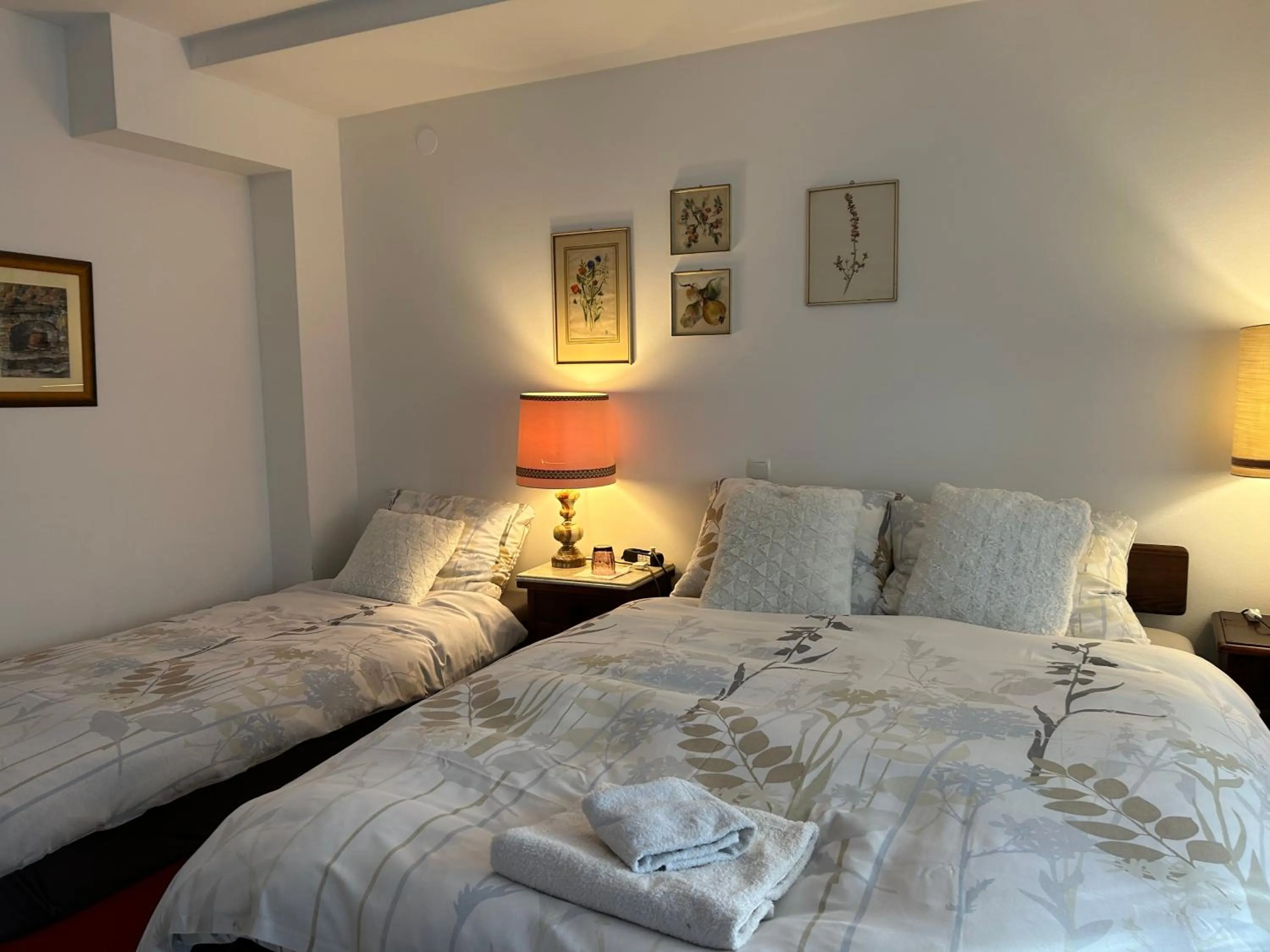 Bedroom, Bed in Vila Vanda Vukovar