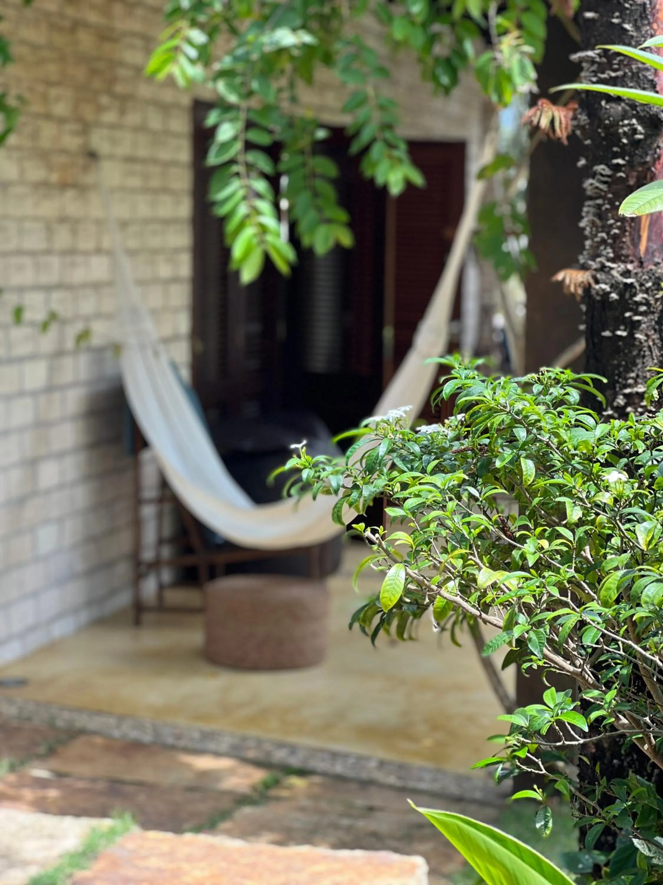 Patio in Casa Fufi