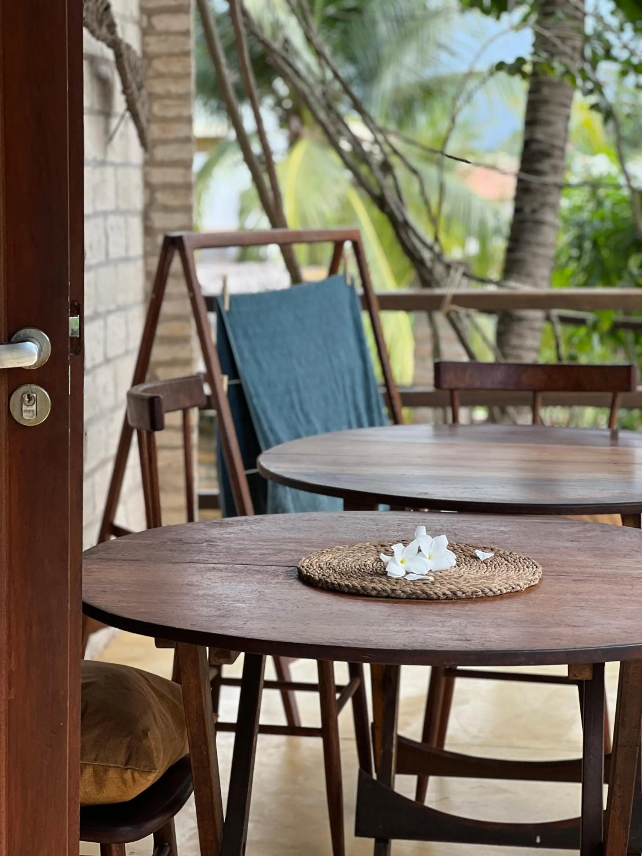 Patio in Casa Fufi