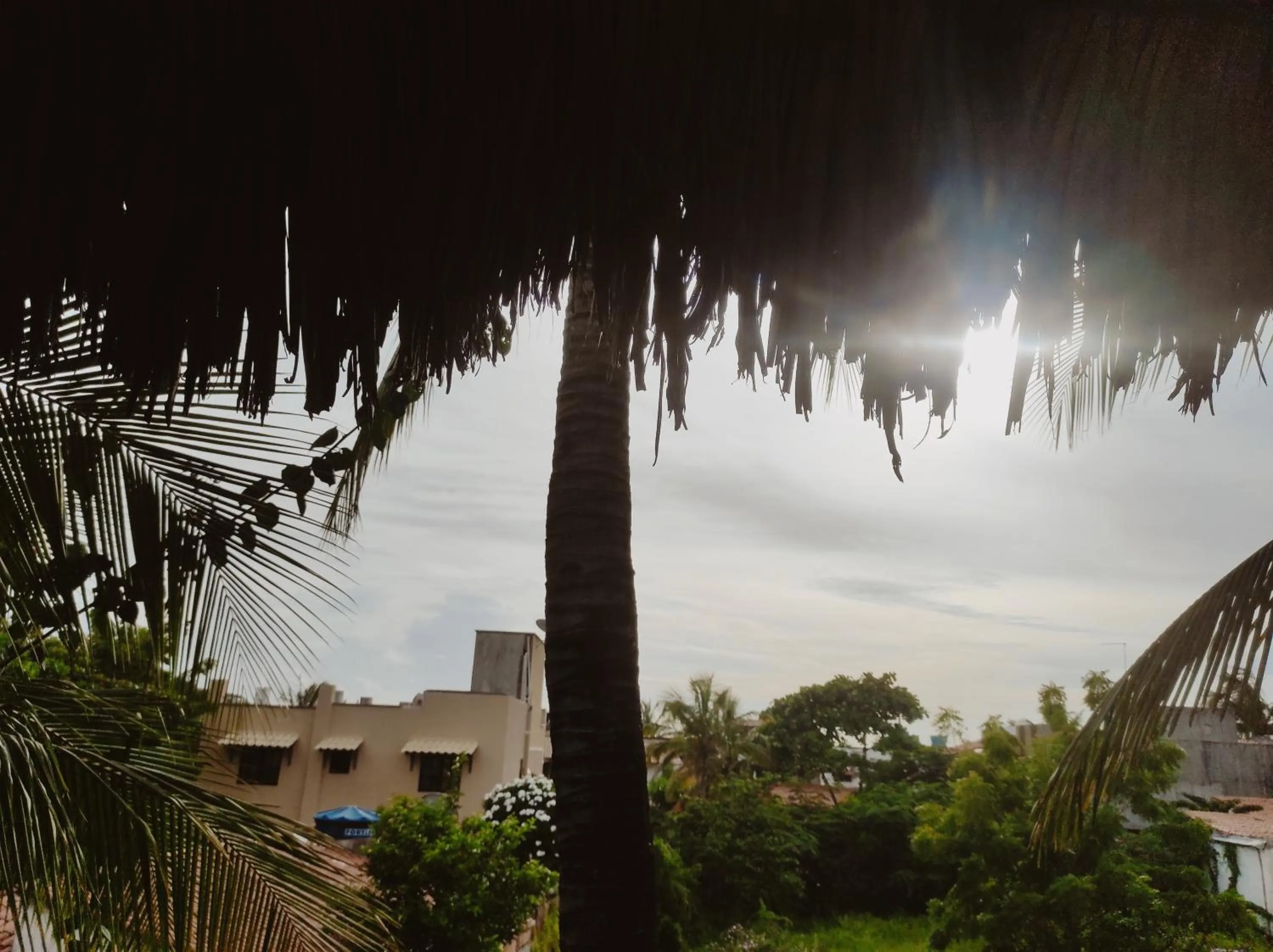 Pousada Tropical Brasil Jeri