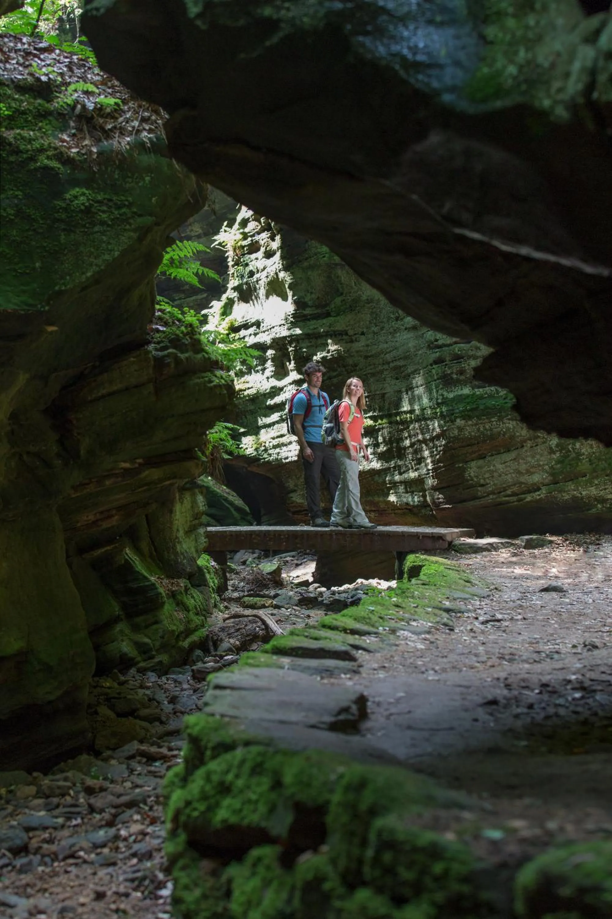 Nearby landmark in Hotel Bon Repos