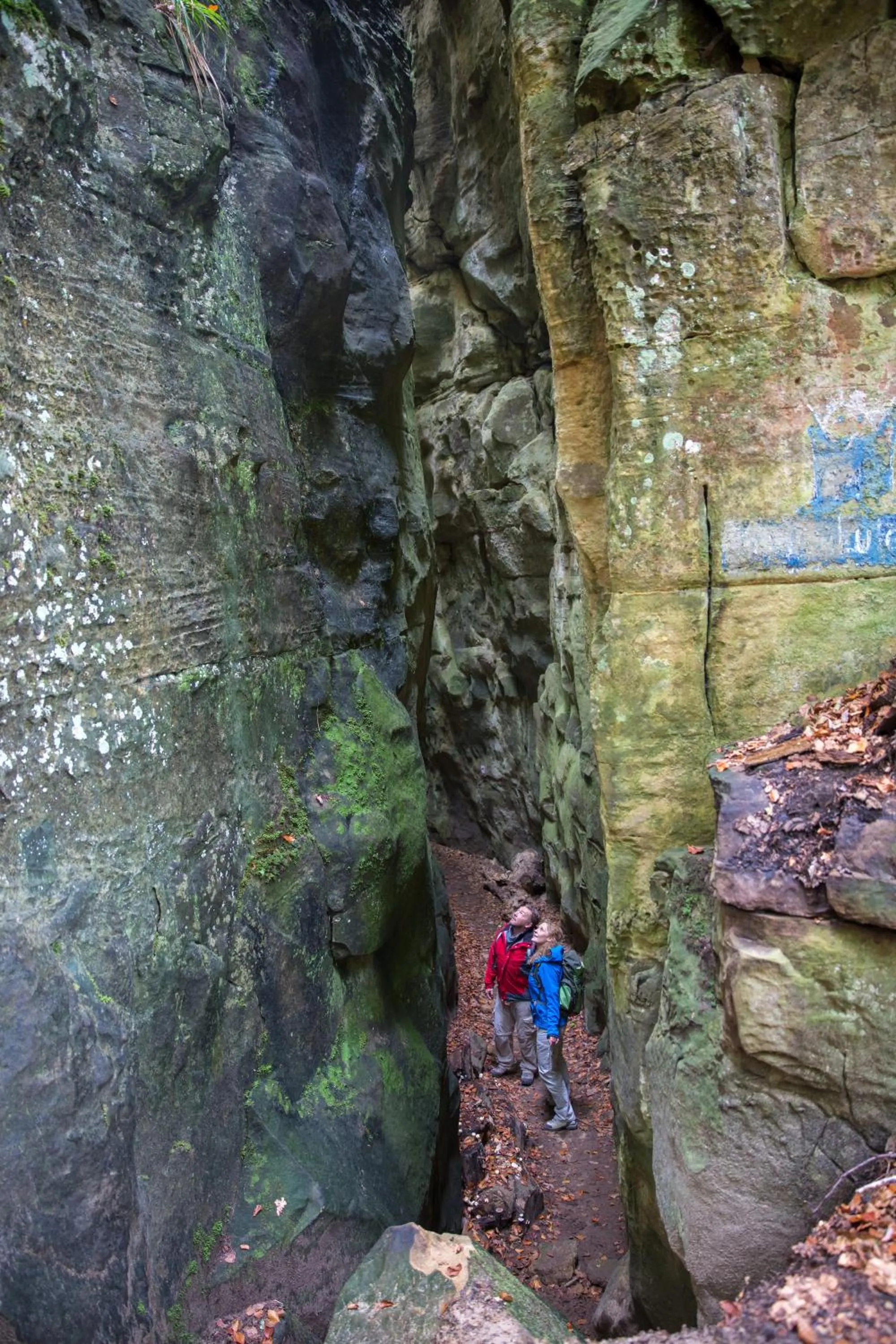 Nearby landmark in Hotel Bon Repos