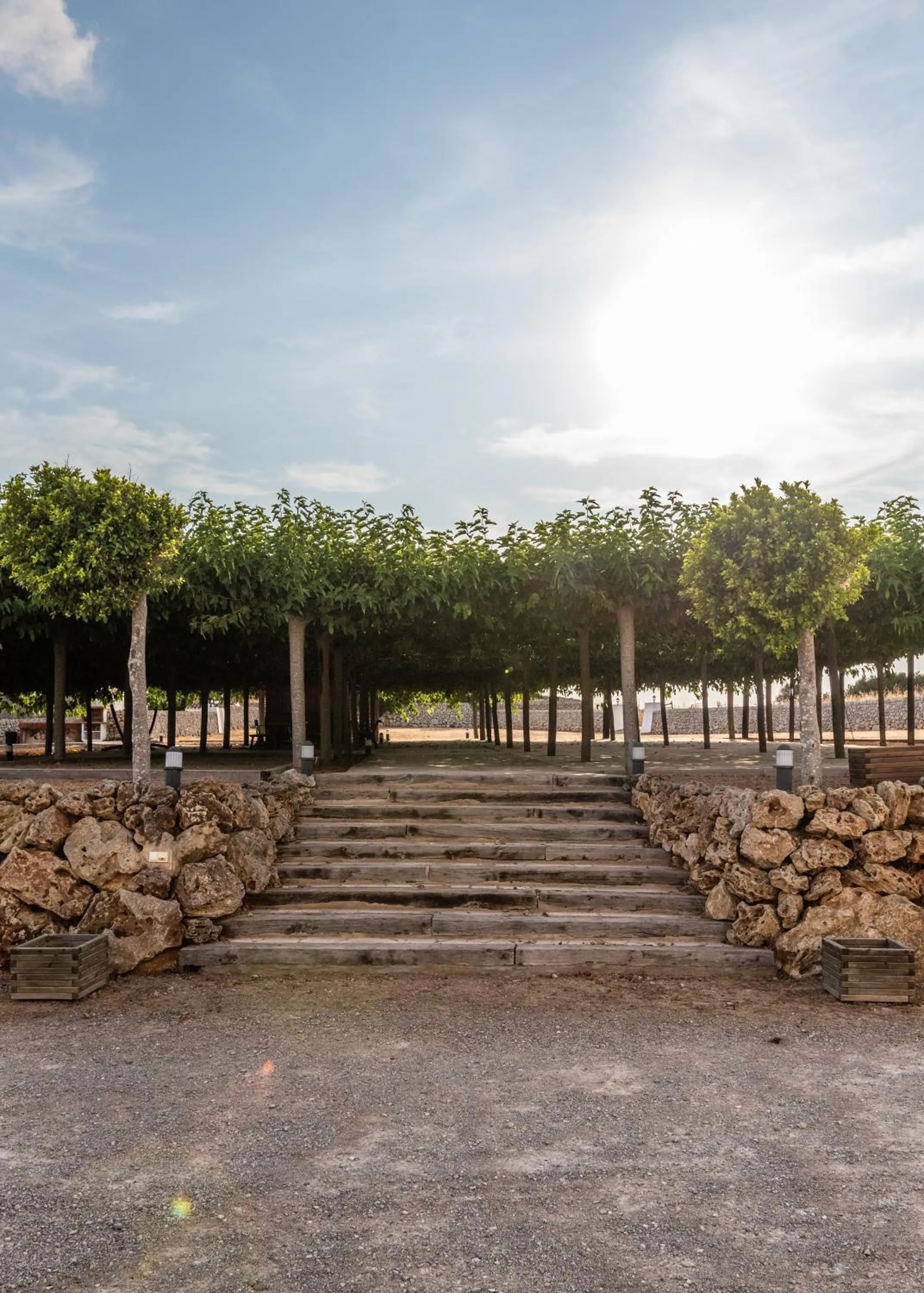 Decorative detail in Agroturismo Llucasaldent Gran Menorca - Adults Only