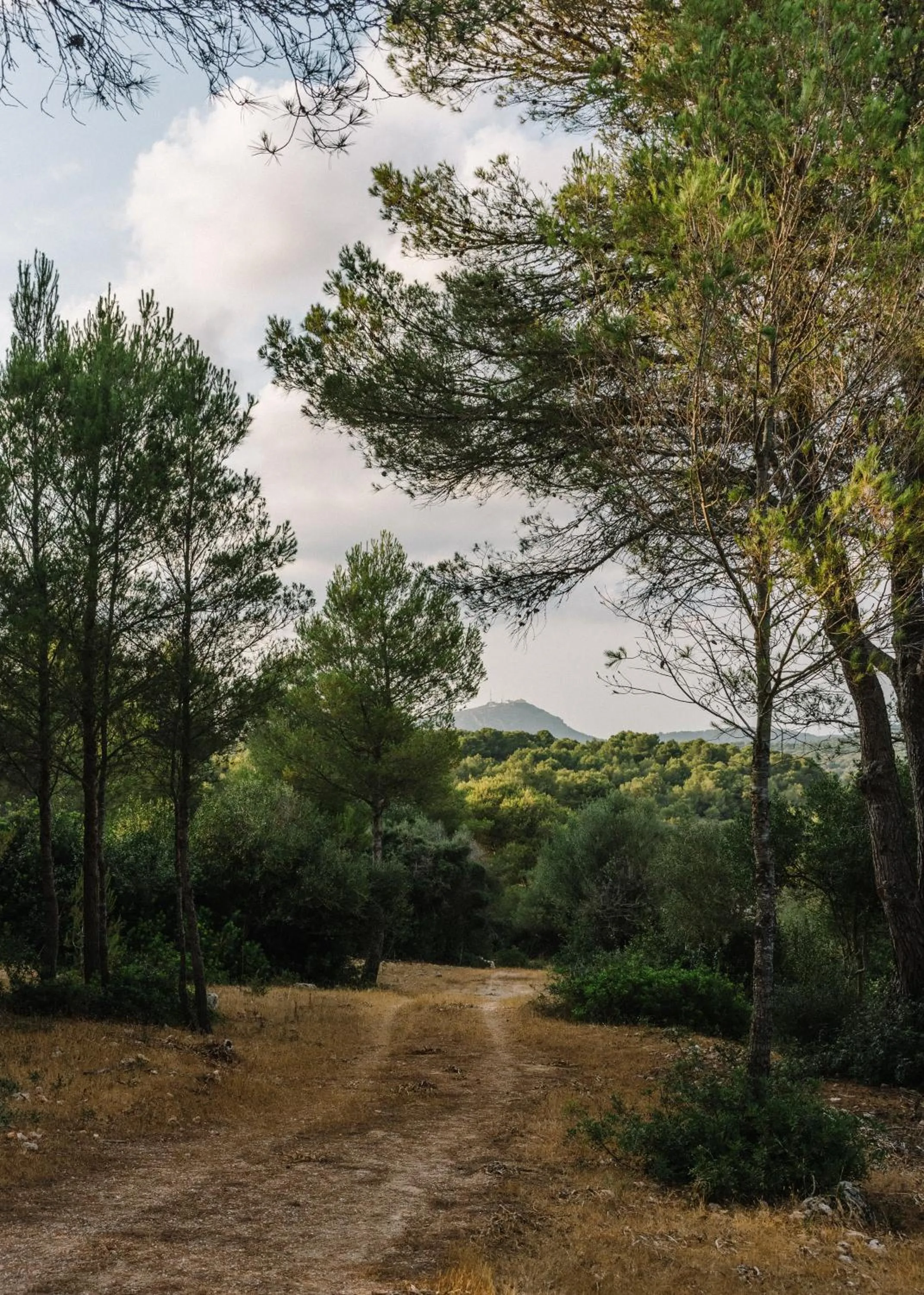 Natural landscape in Agroturismo Llucasaldent Gran Menorca - Adults Only