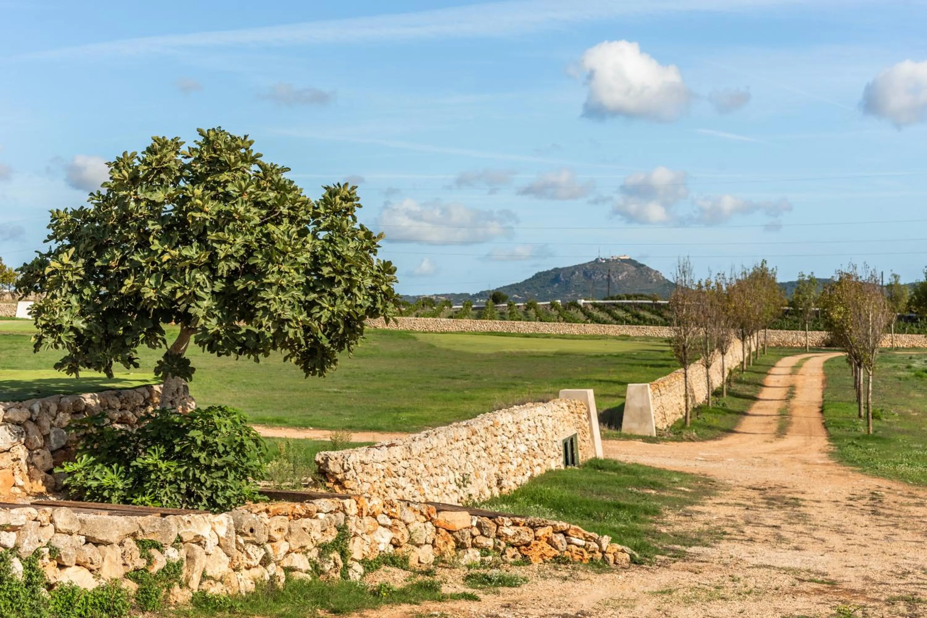 Natural landscape in Agroturismo Llucasaldent Gran Menorca - Adults Only