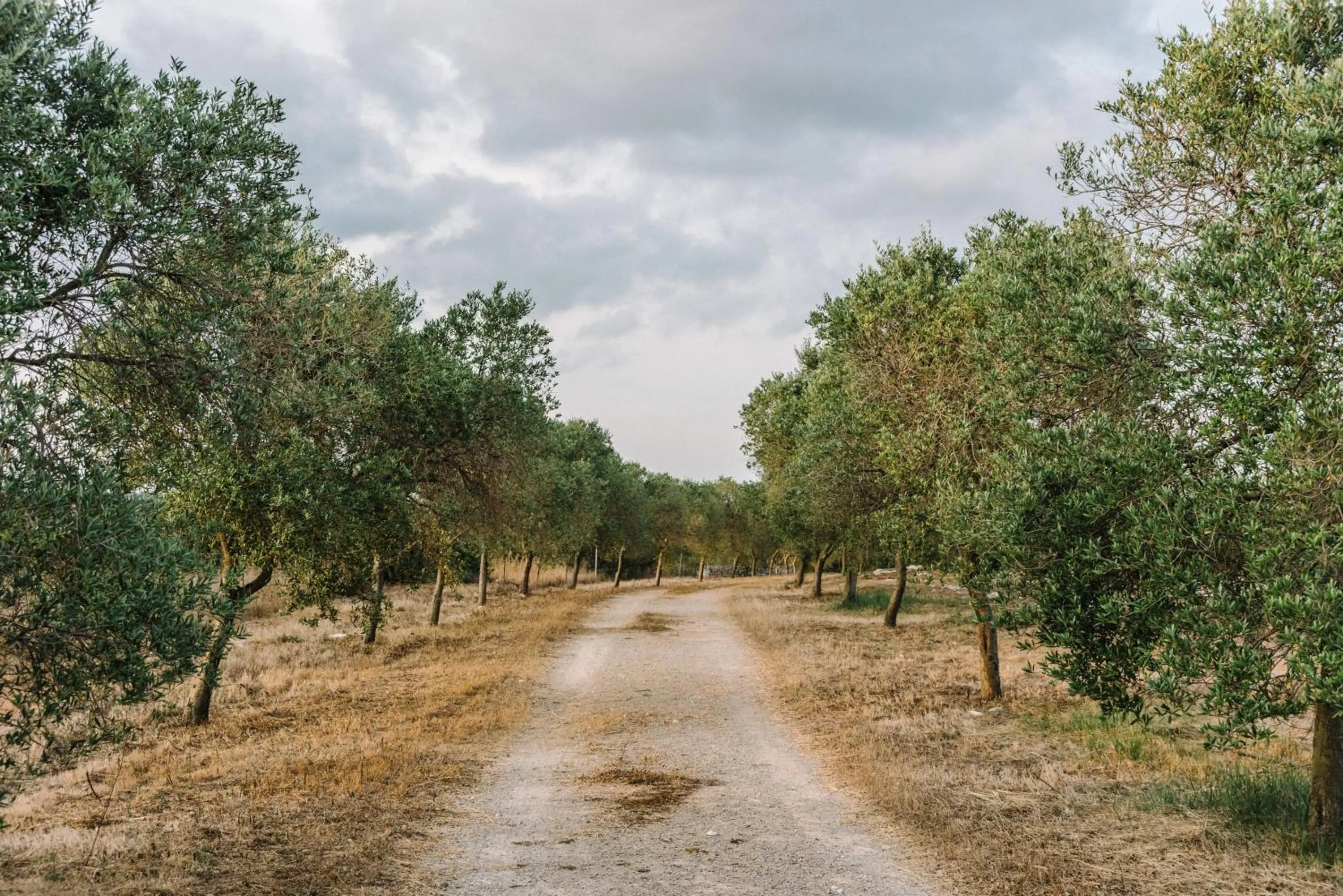 Hiking in Agroturismo Llucasaldent Gran Menorca - Adults Only