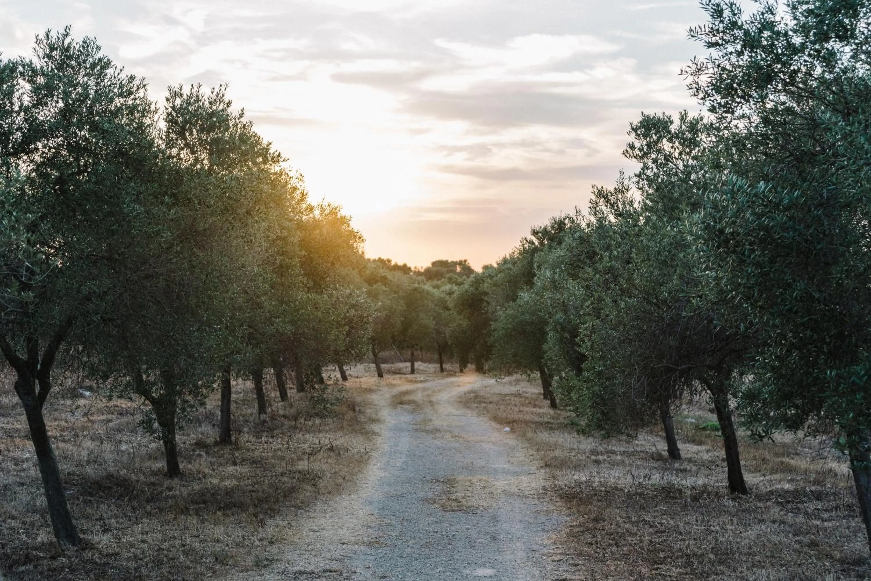 Hiking in Agroturismo Llucasaldent Gran Menorca - Adults Only