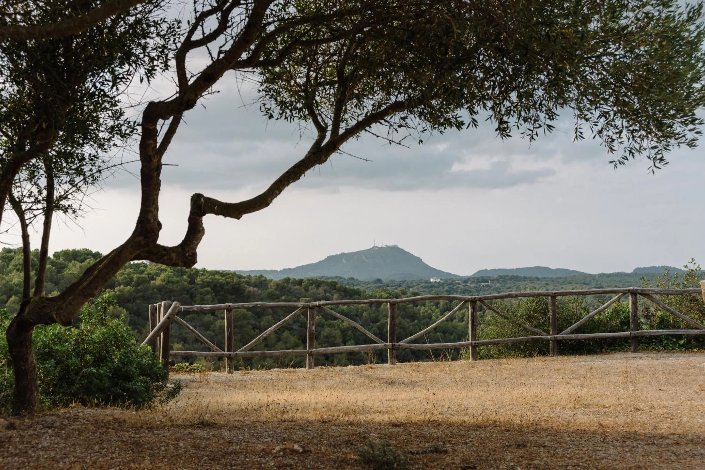 Natural landscape in Agroturismo Llucasaldent Gran Menorca - Adults Only